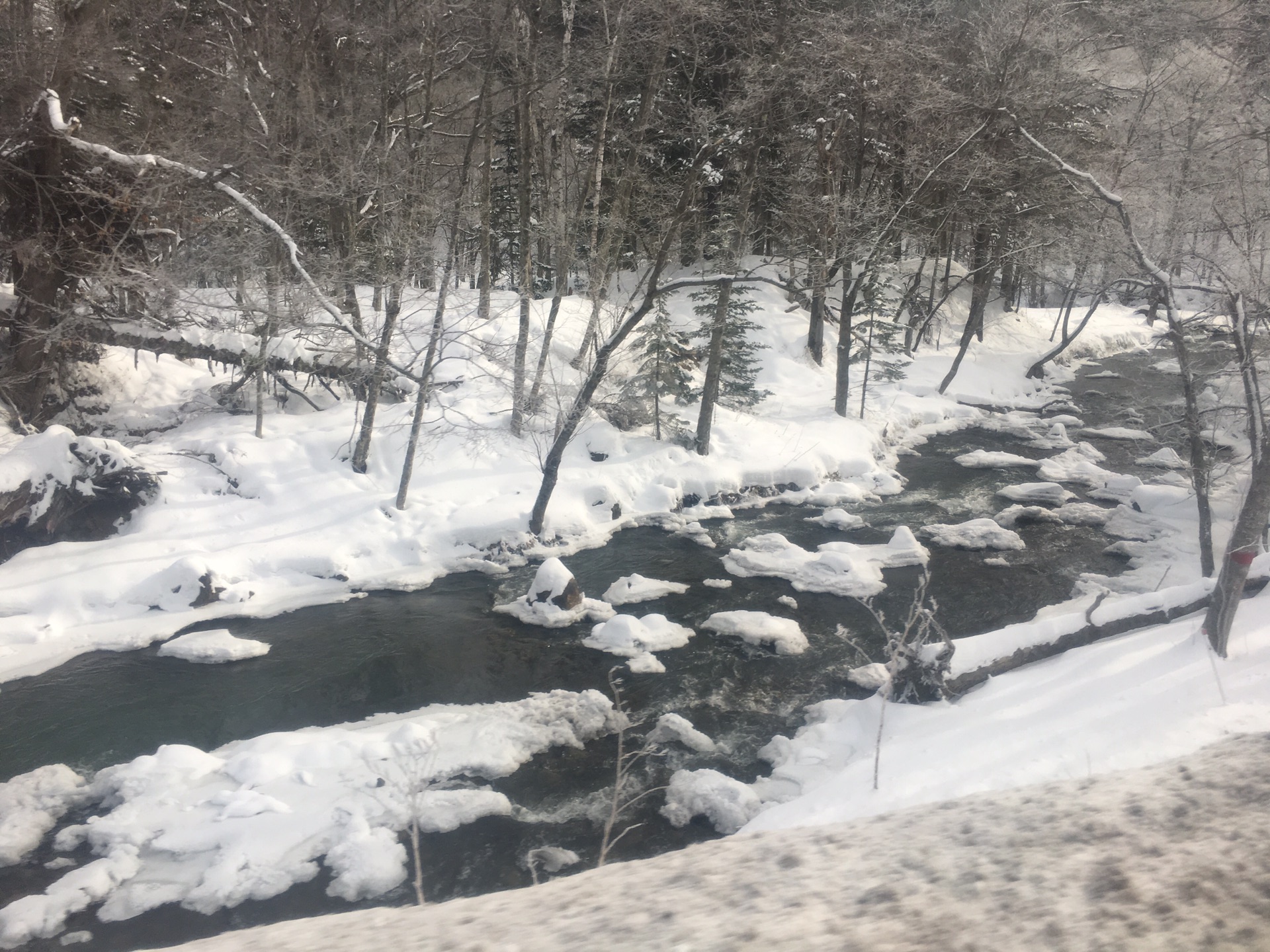 北海道自助遊攻略