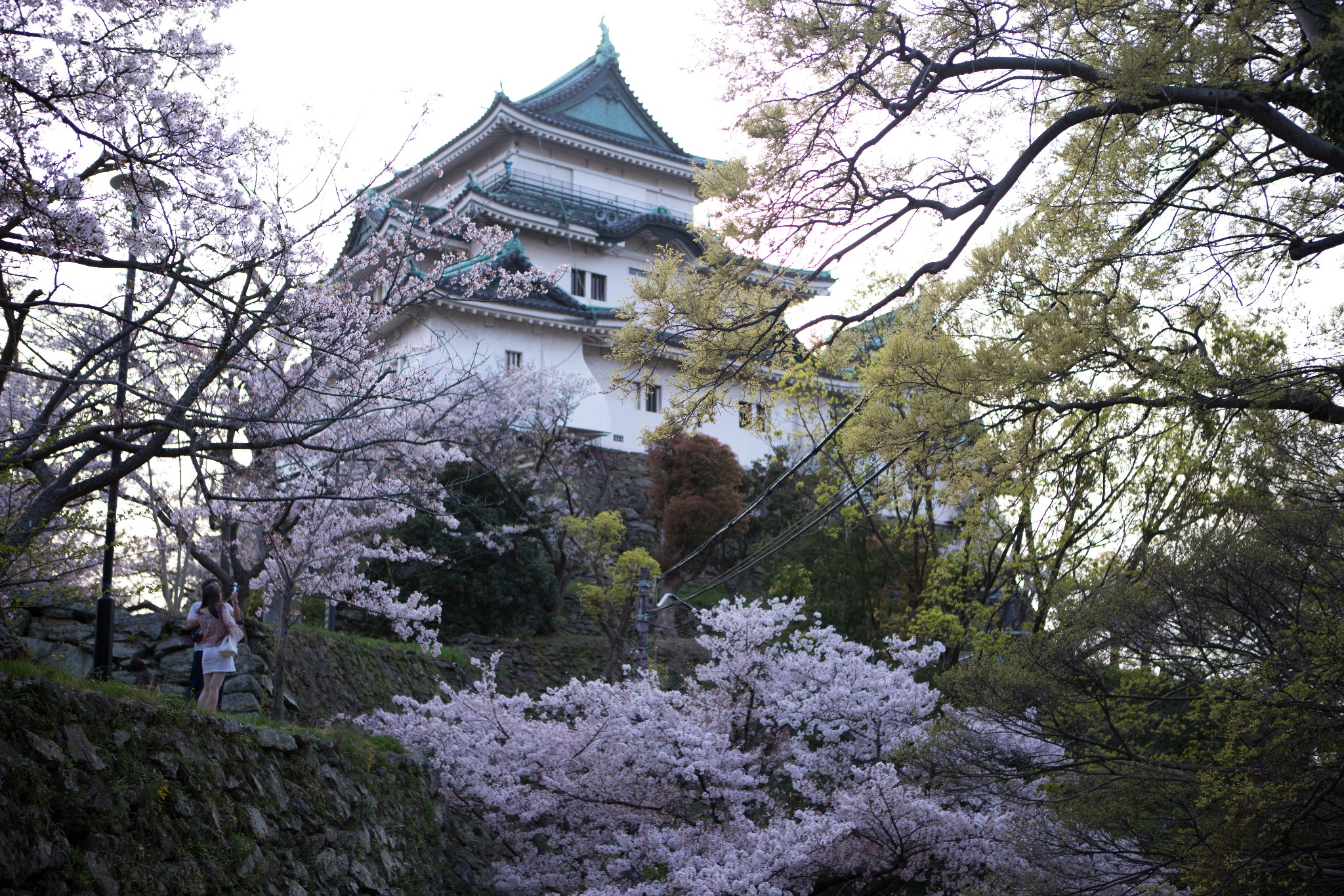 和歌山市自助遊攻略