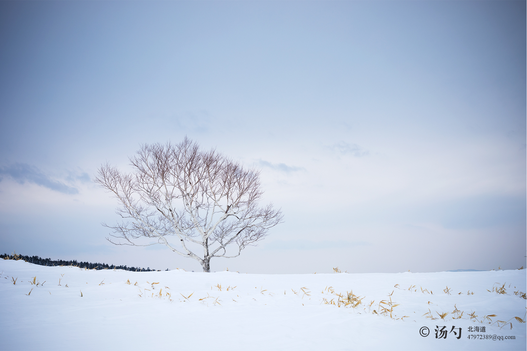 北海道自助遊攻略