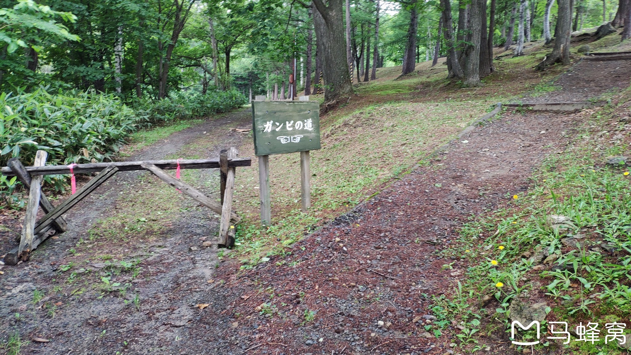 北海道自助遊攻略