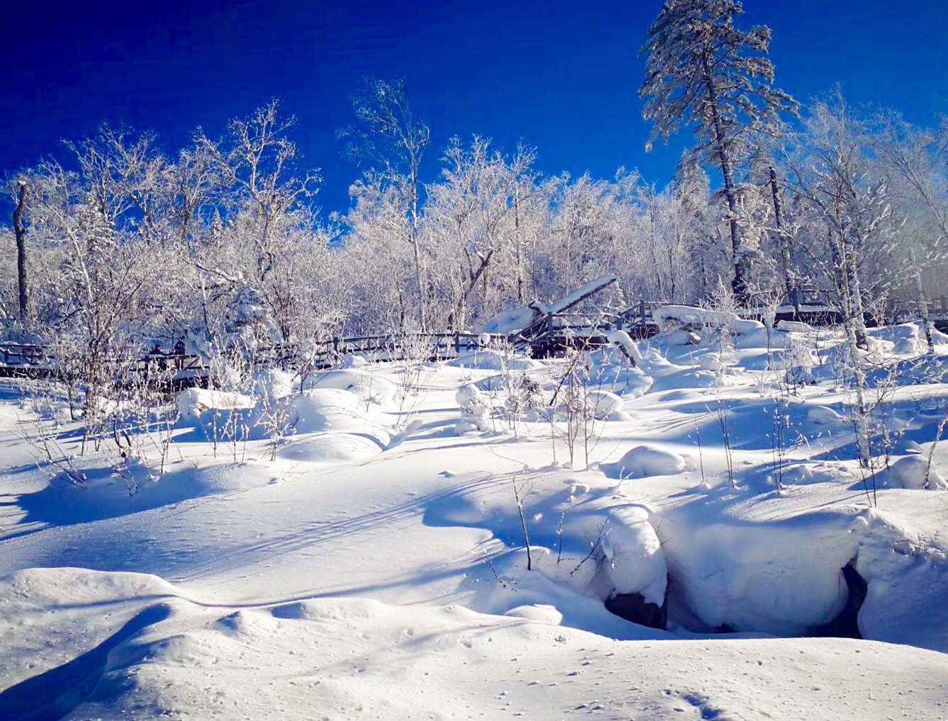 雪鄉自助遊攻略