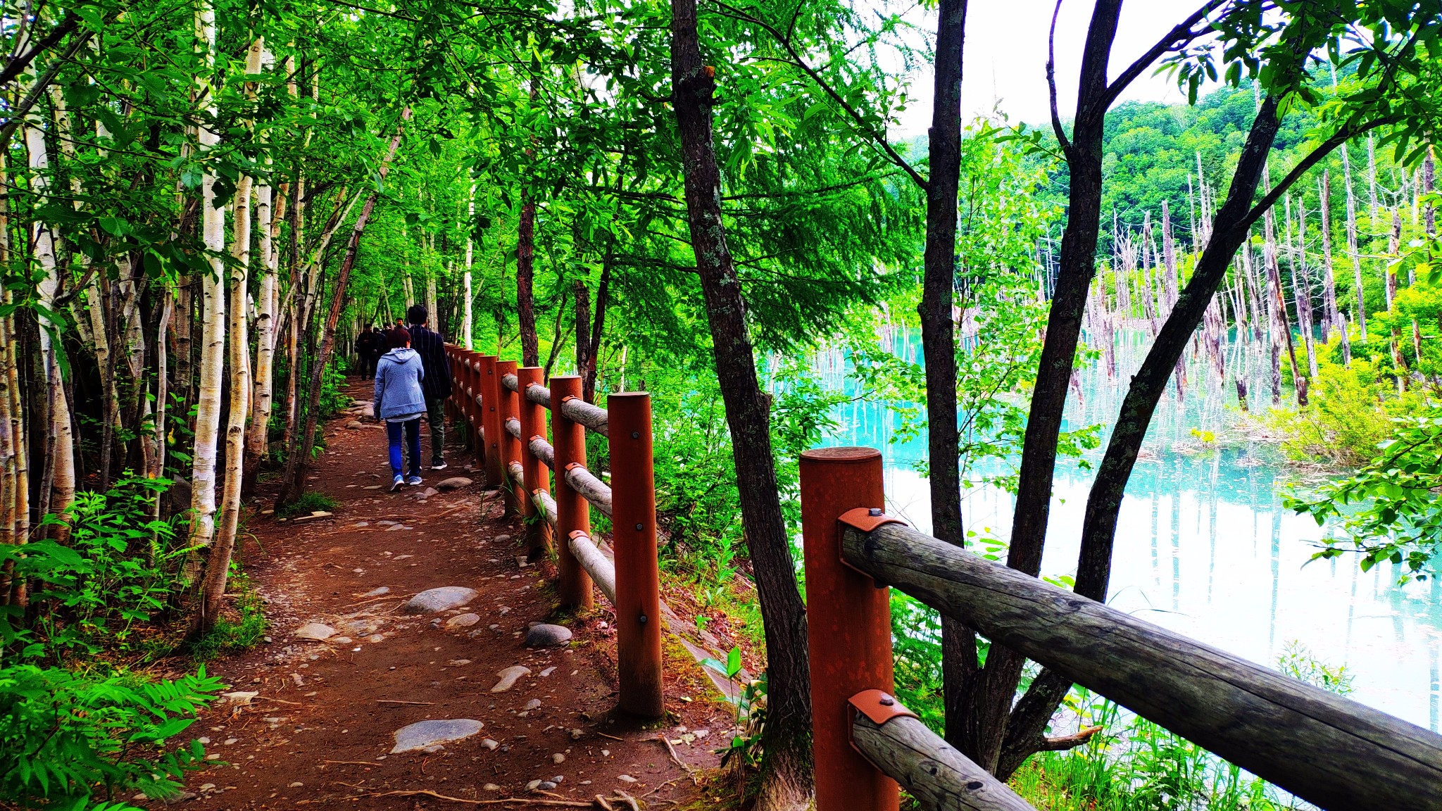 北海道自助遊攻略