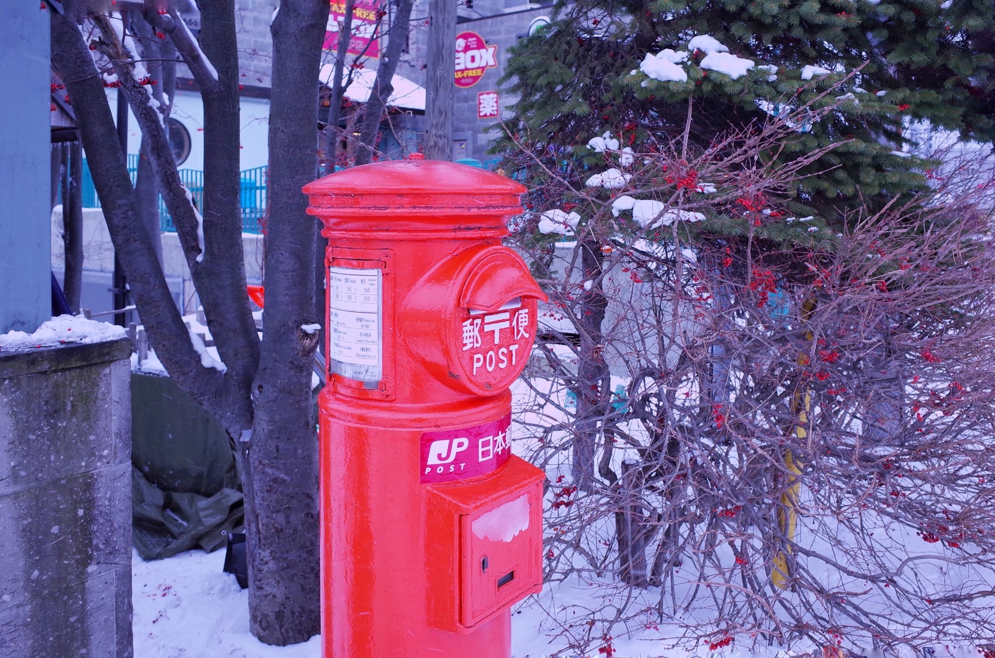 札幌自助遊攻略