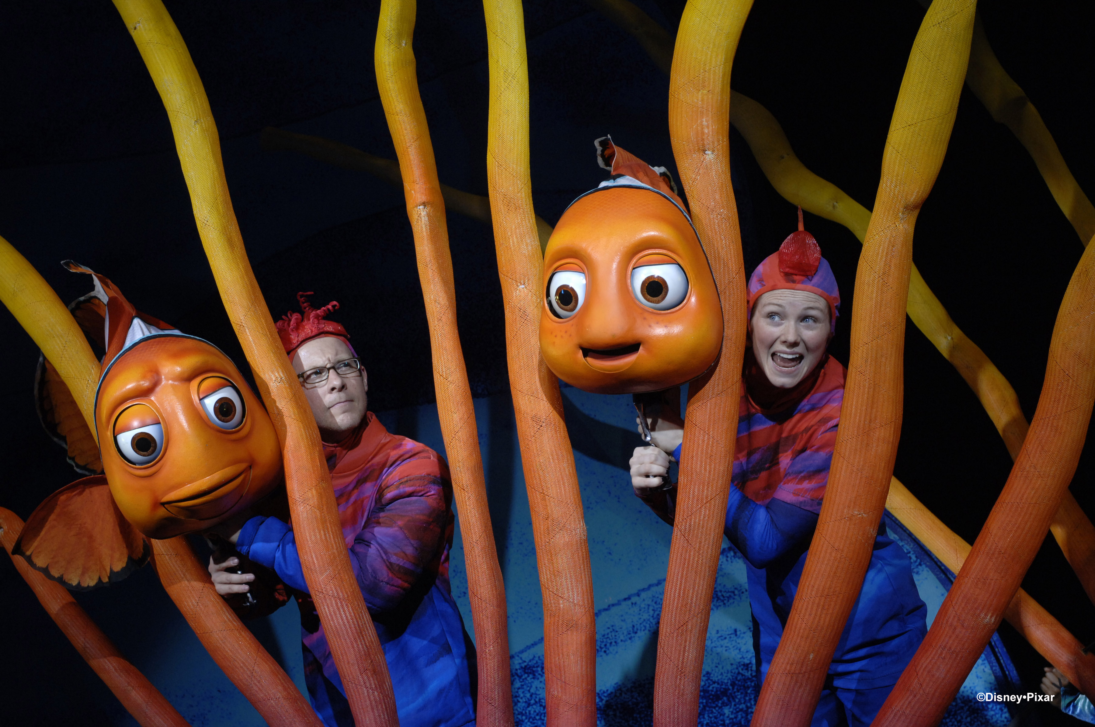 《海底总动员》音乐剧中的可爱尼莫.via 华特迪士尼世界
