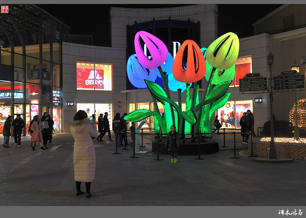 【原创摄影】第十届北京蓝色港湾灯光节的艺术之光