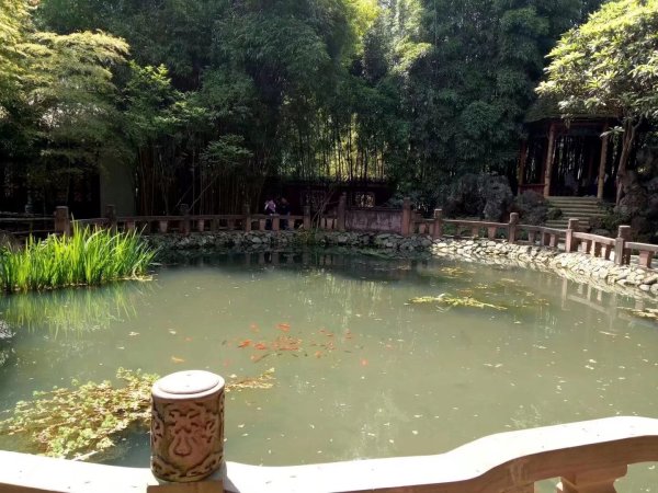 望江公园在成都什么位置 wKgBEFrTS7GAUoqkAAVYImkes0s05.jpeg?imageView2%2F2%2Fw%2F600%2Fq%2F90%7CimageMogr2%2Fstrip%2Fquality%2F90