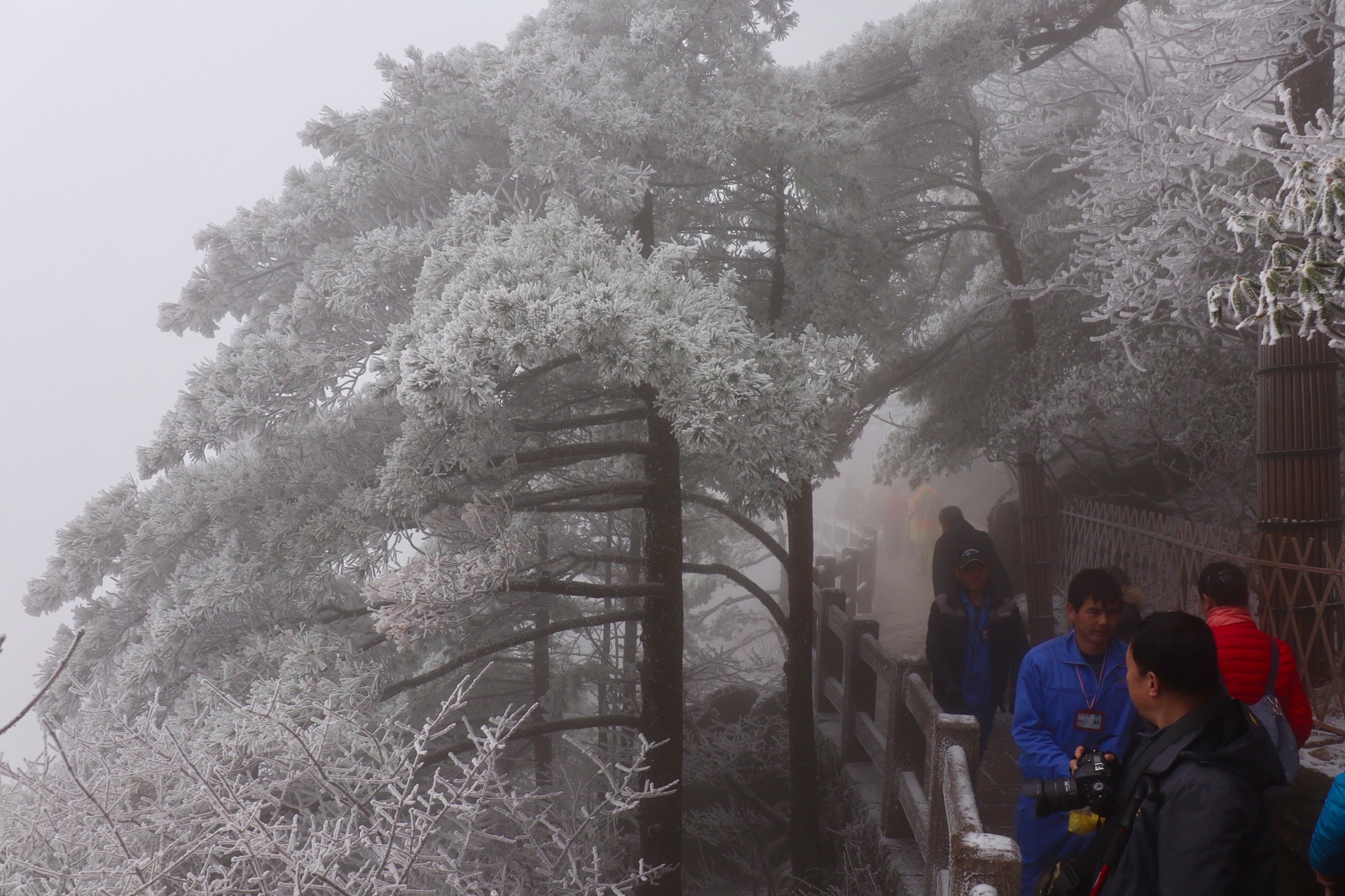 wKgBEFrF8s6APiWxAArKLrOr0_s91.jpeg?imageView2%2F2%2Fw%2F680%2Fq%2F90%7CimageMogr2%2Fstrip%2Fquality%2F90