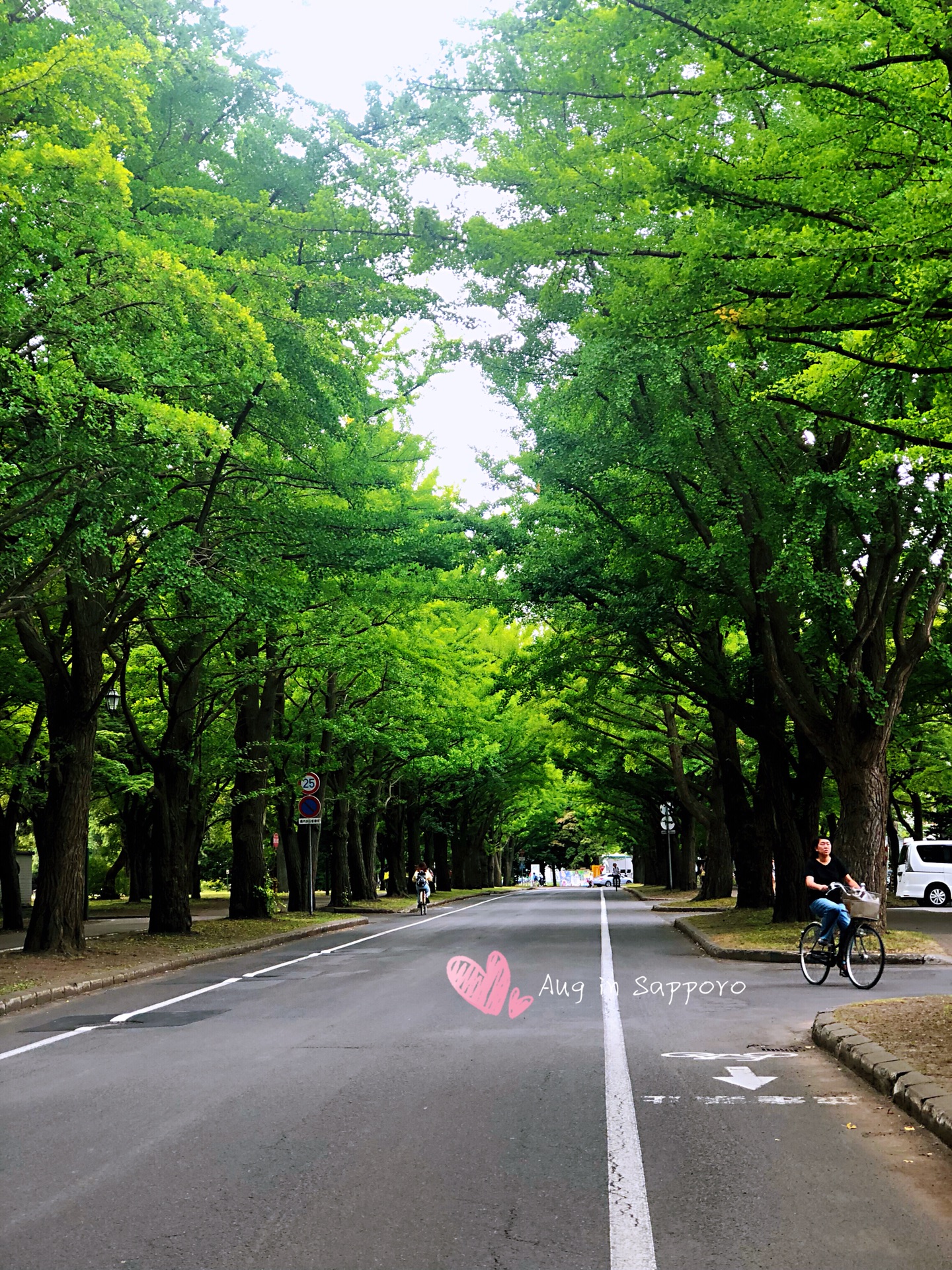 北海道自助遊攻略