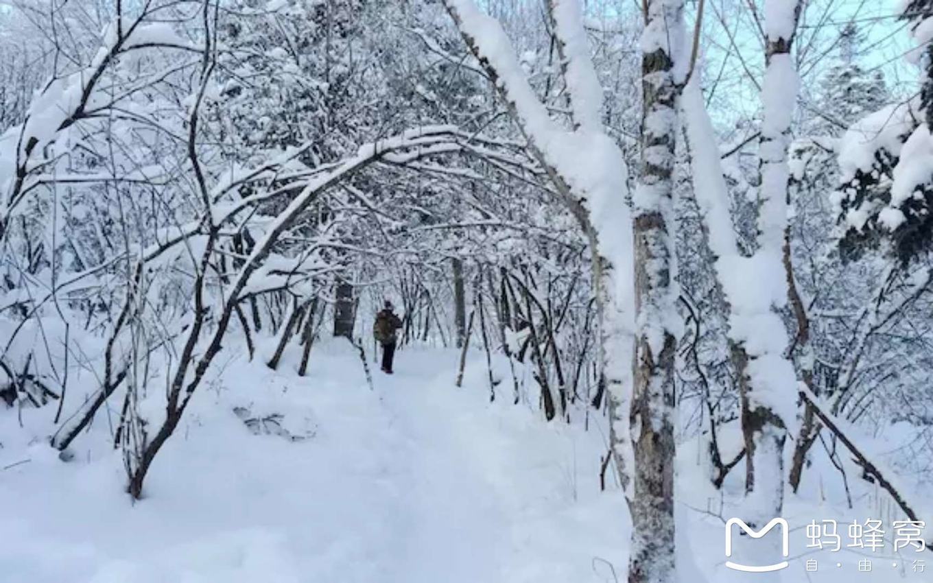 雪鄉自助遊攻略