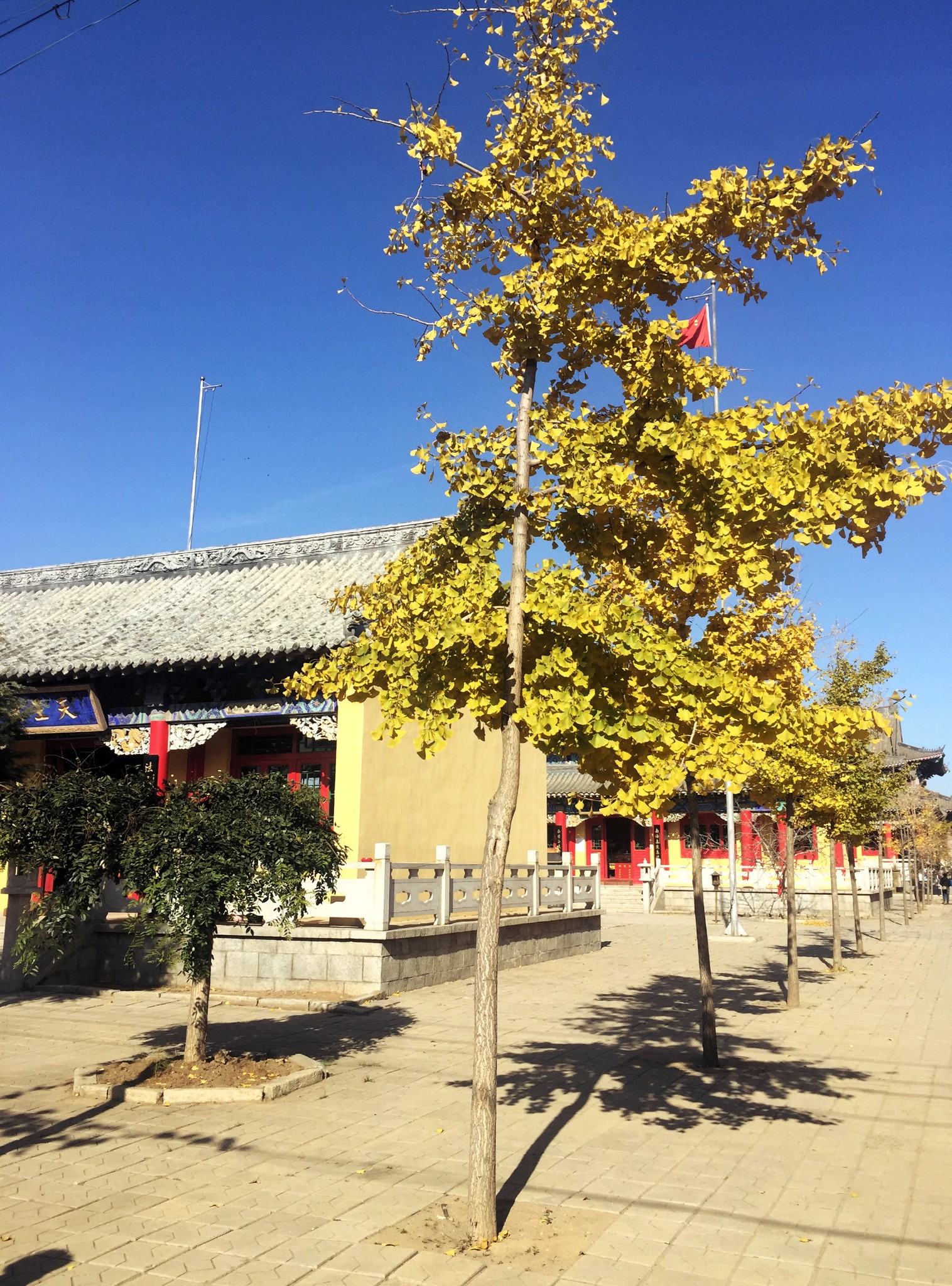 永兴寺~家门口的风景