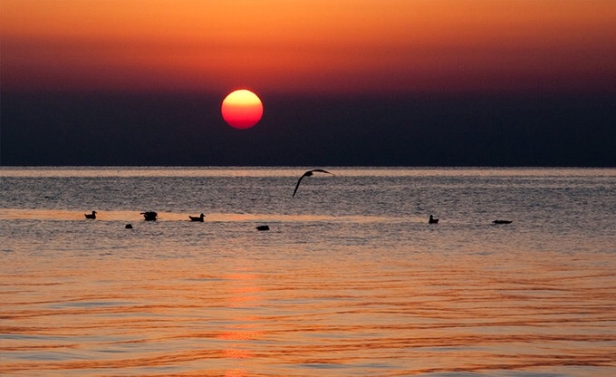 wKgED1uI4duAMT9fAAEjjNOBkew70.jpeg?imageView2%2F2%2Fw%2F680%2Fq%2F90%7CimageMogr2%2Fstrip%2Fquality%2F90