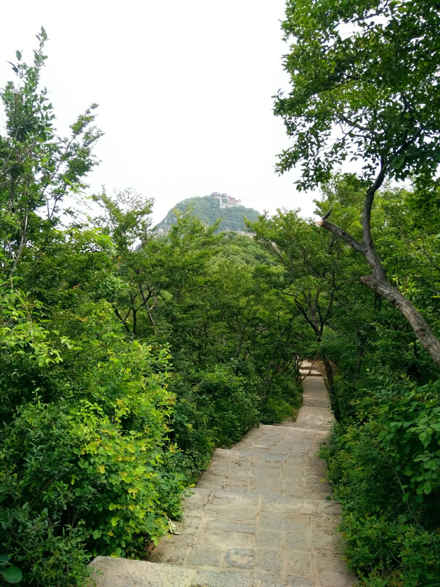 雲台山自助遊攻略