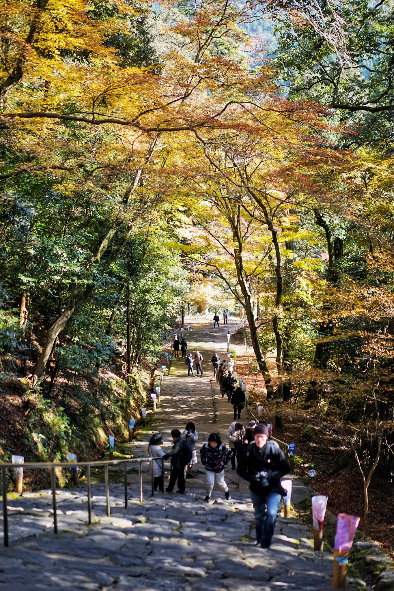 京都自助遊攻略