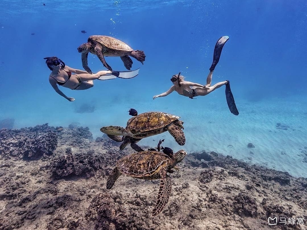 马尔代夫选岛,水肺潜水有中文服务_马蜂窝问答 - 马蜂窝
