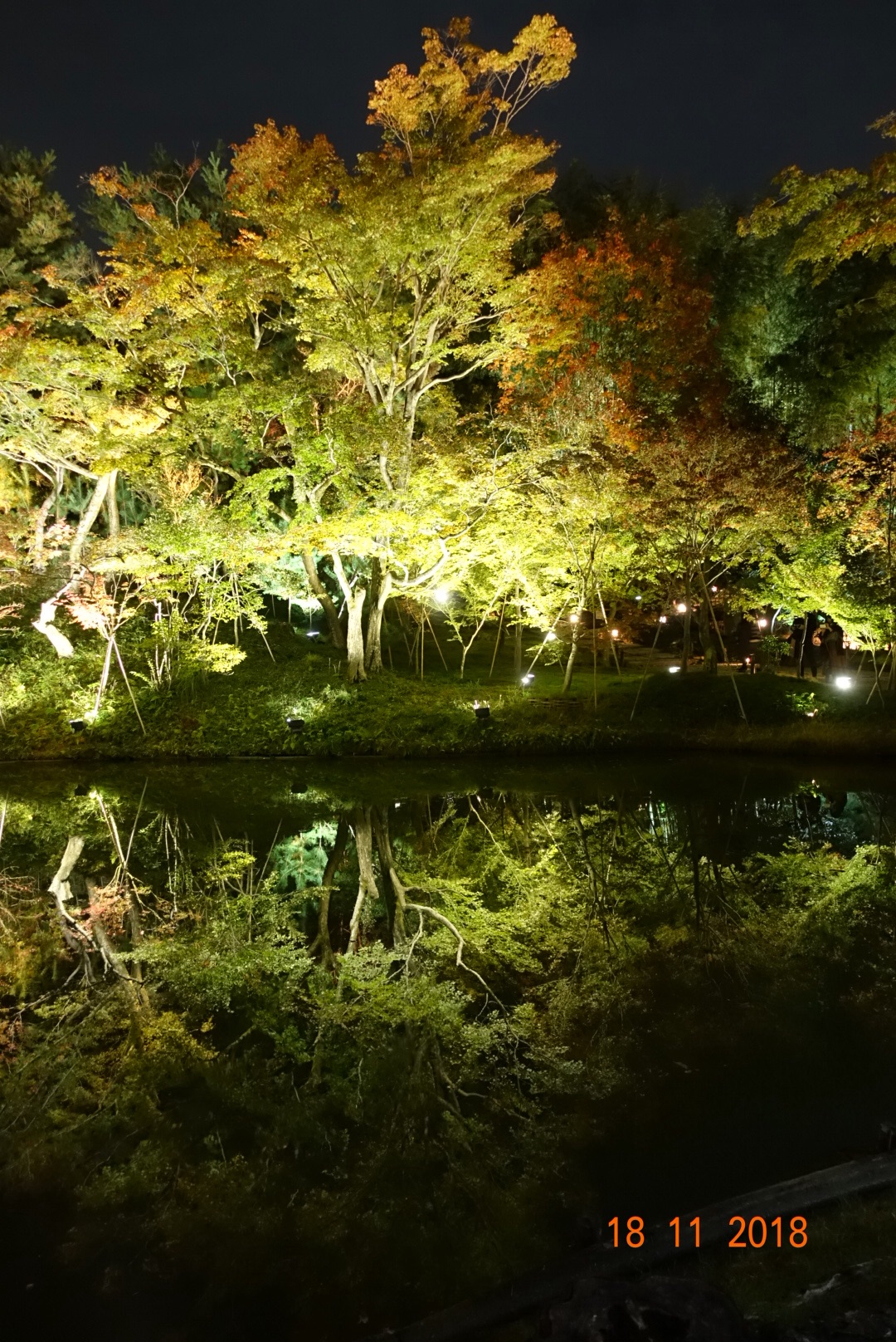 京都自助遊攻略