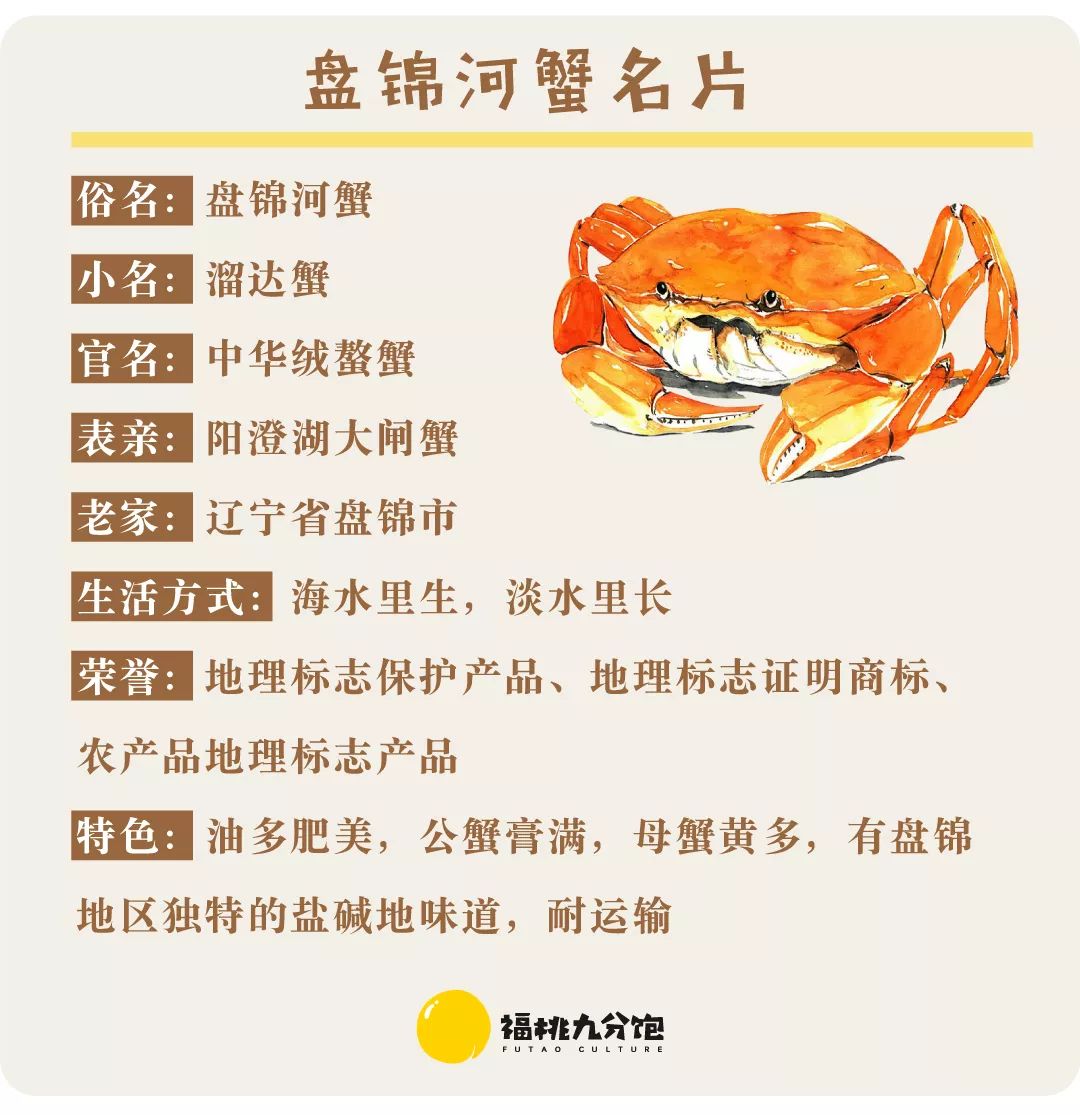 【盘锦河蟹】在吃蟹这件事上,东北人才是人生赢家