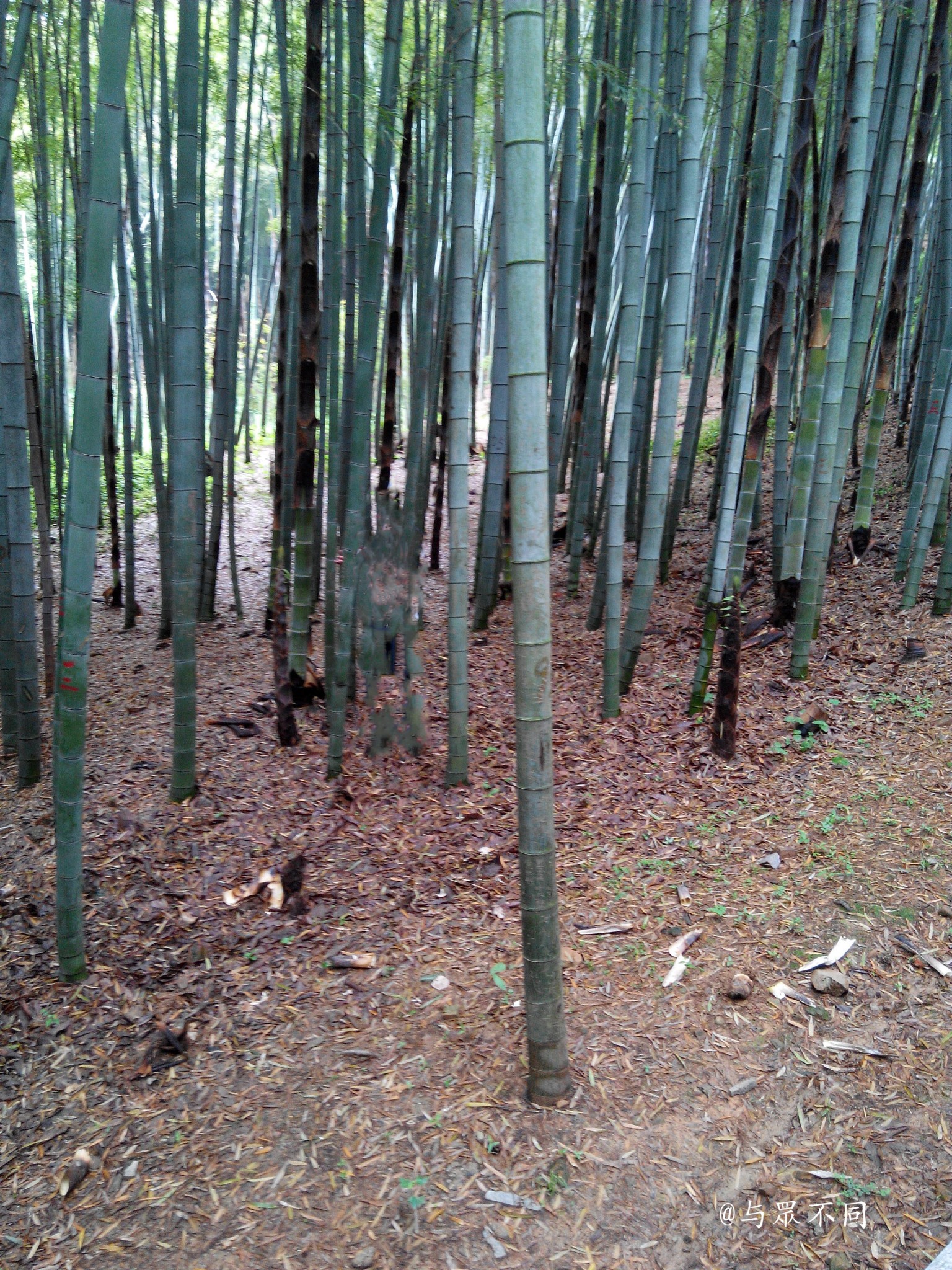無錫自助遊攻略