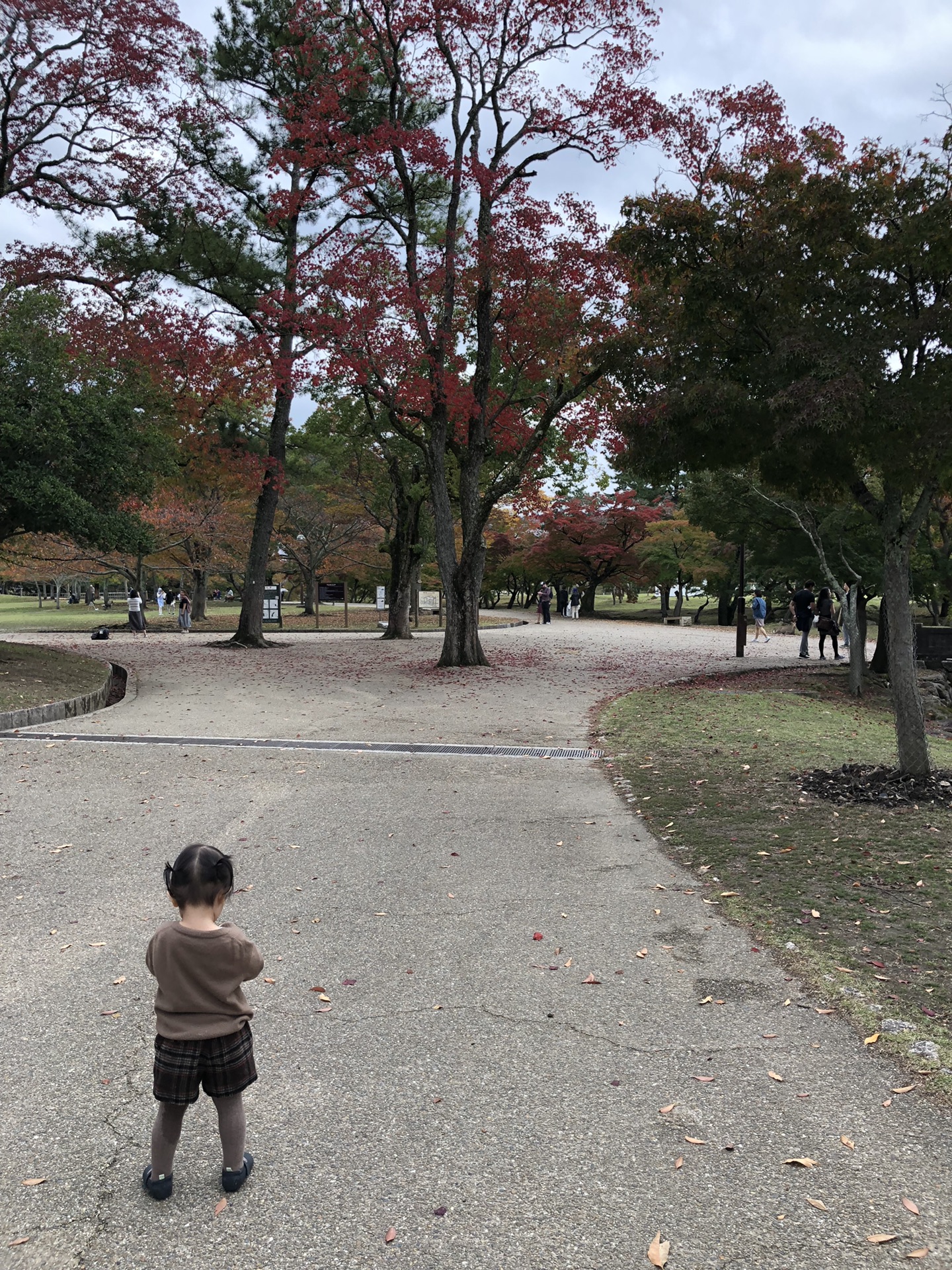 大阪自助遊攻略