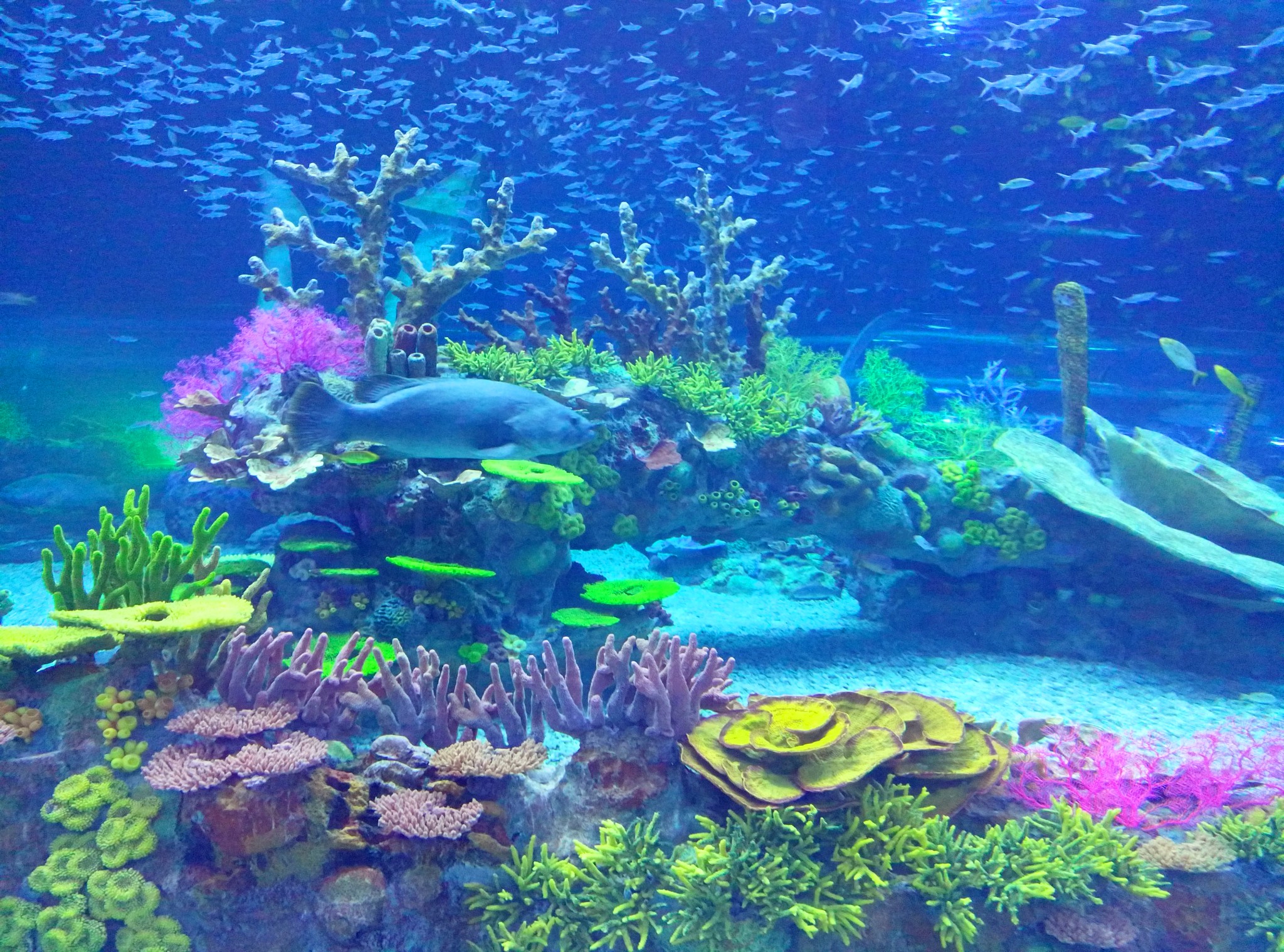 wKgED1v9YnSAWAuAAA7l8gtkP4M26.jpeg?imageView2%2F2%2Fw%2F680%2Fq%2F90%7CimageMogr2%2Fstrip%2Fquality%2F90