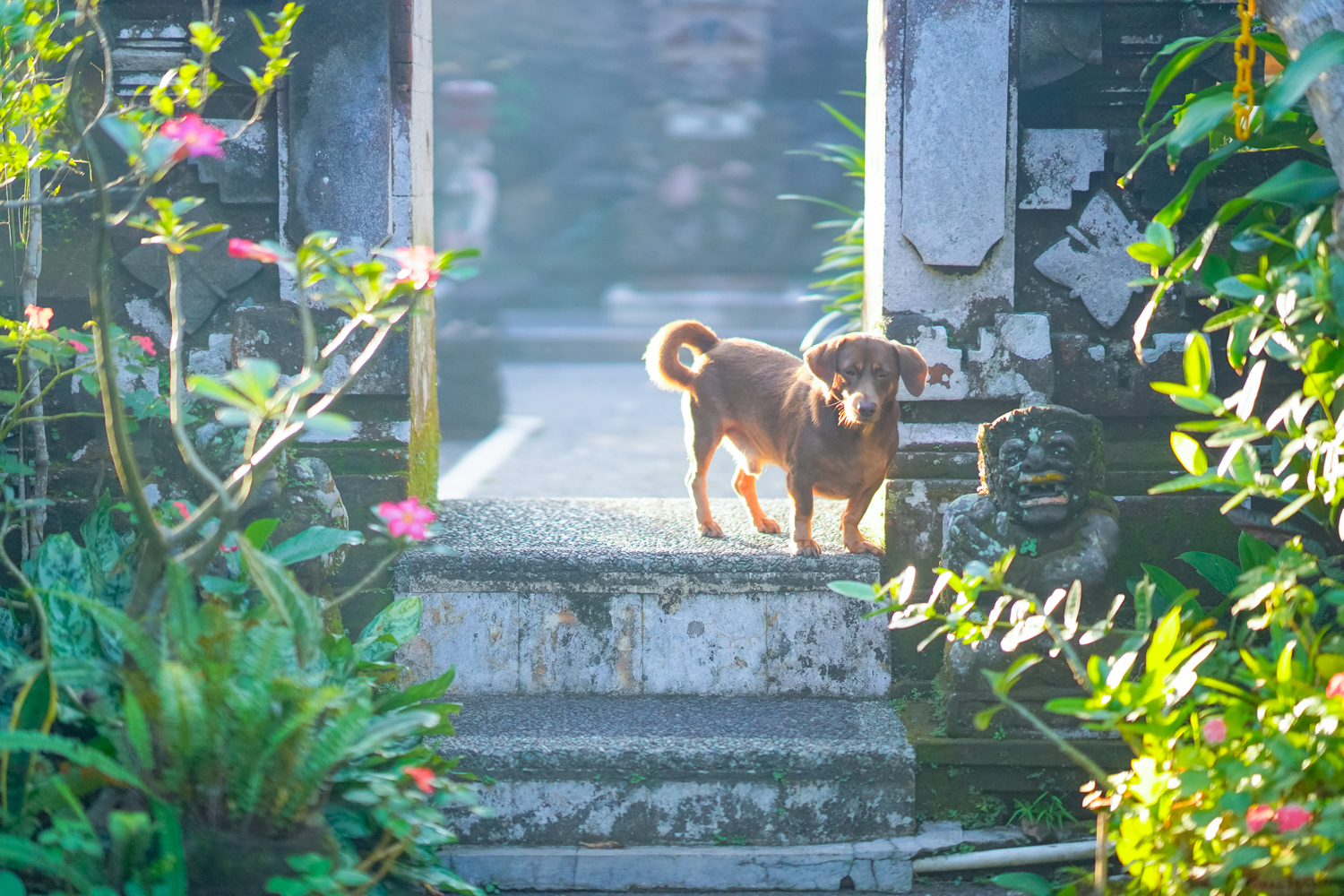 巴釐島自助遊攻略