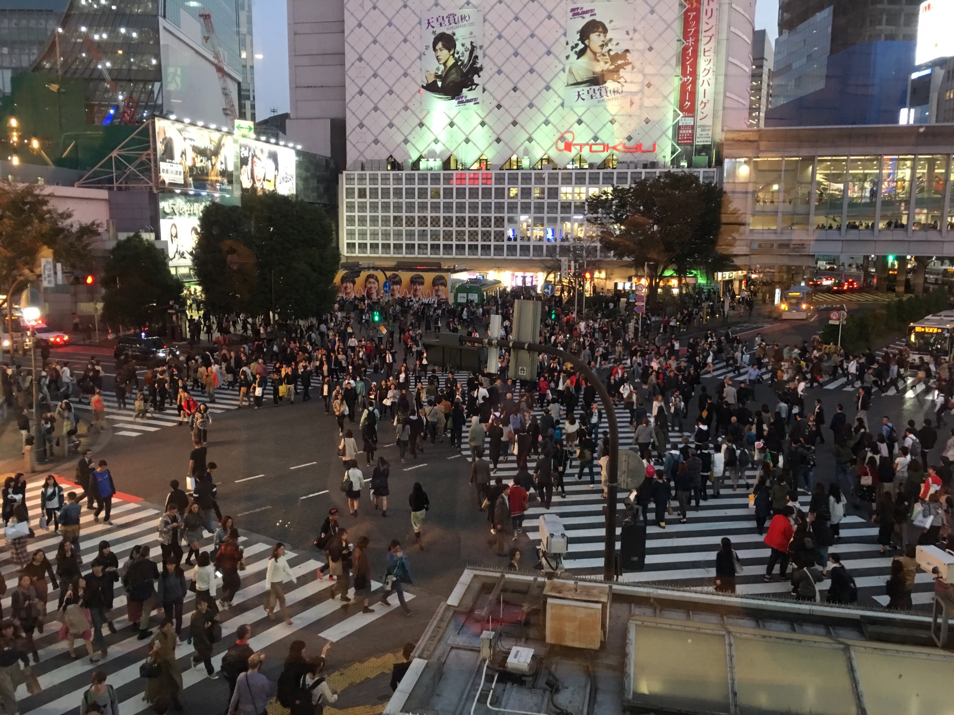 東京自助遊攻略