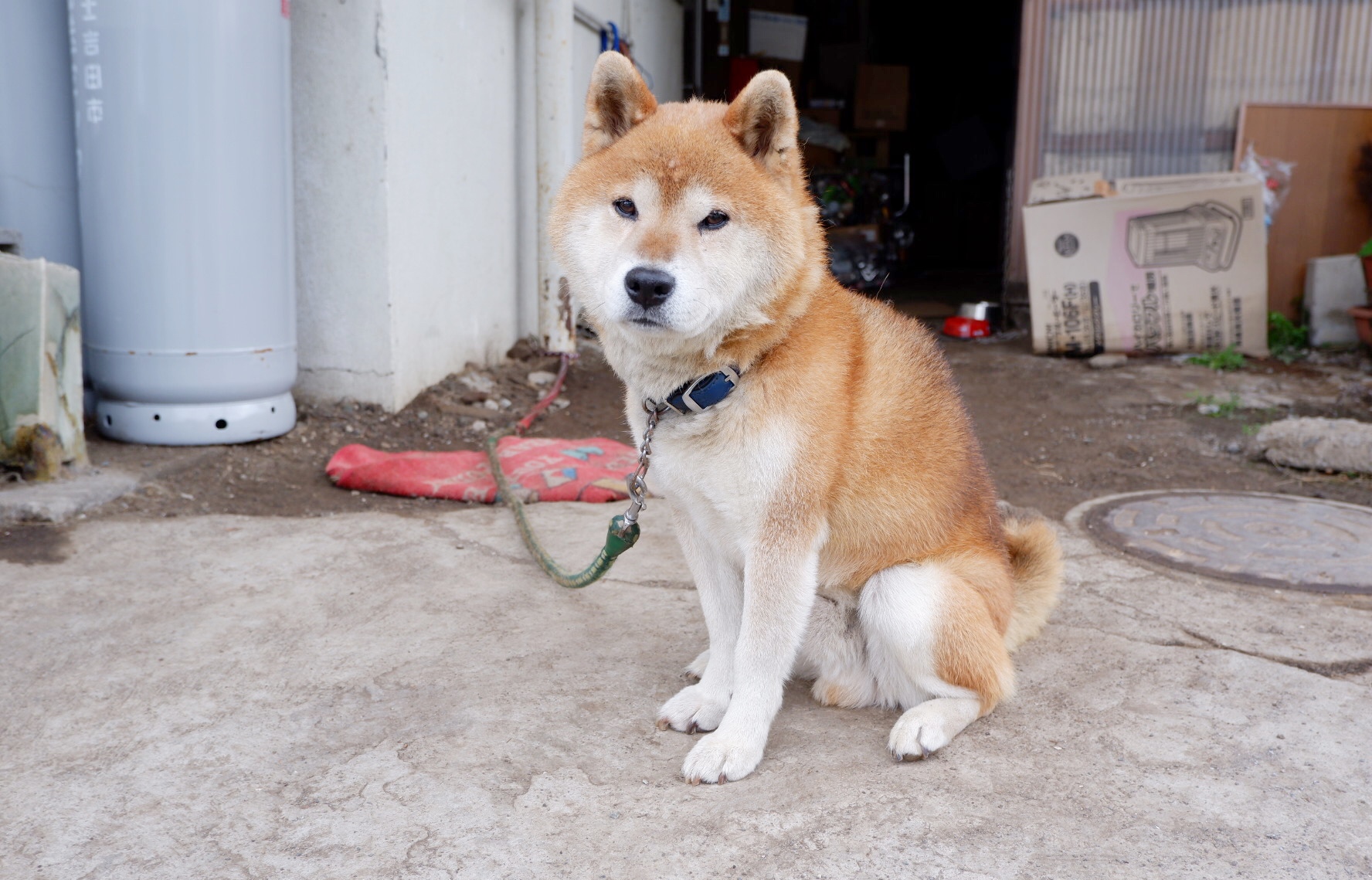 輕井澤自助遊攻略