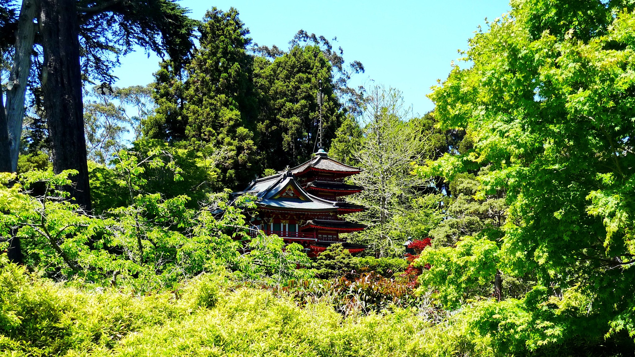 舊金山自助遊攻略