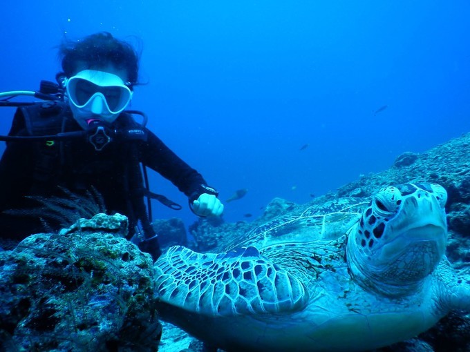 又见仙本那——启程潜水员之路/潜水考证