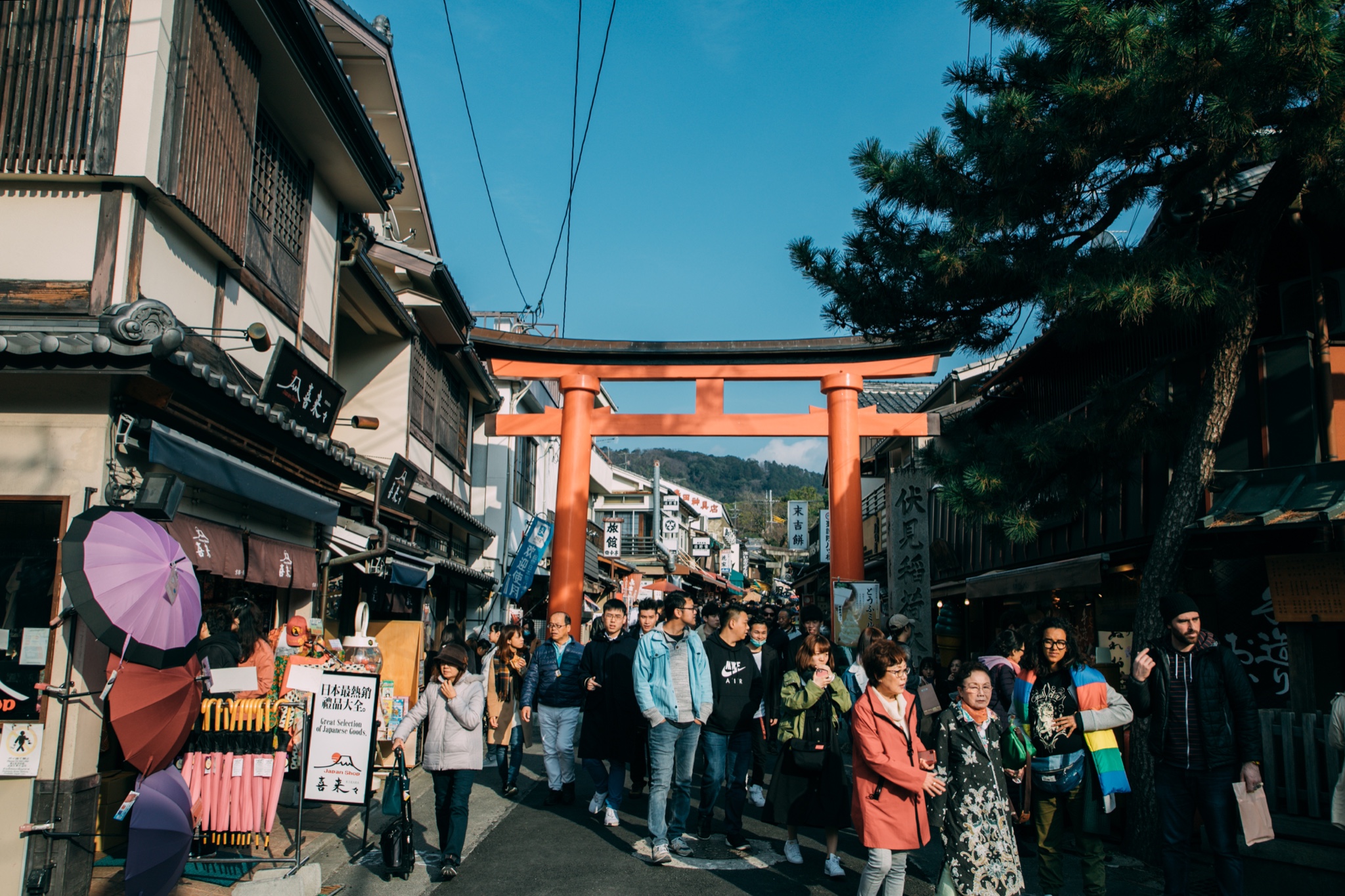 京都自助遊攻略