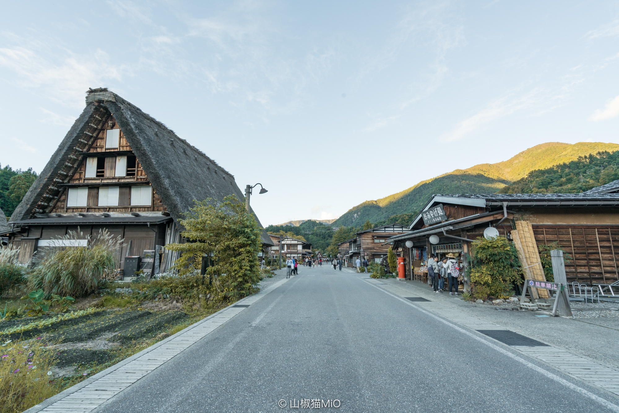 白川鄉自助遊攻略