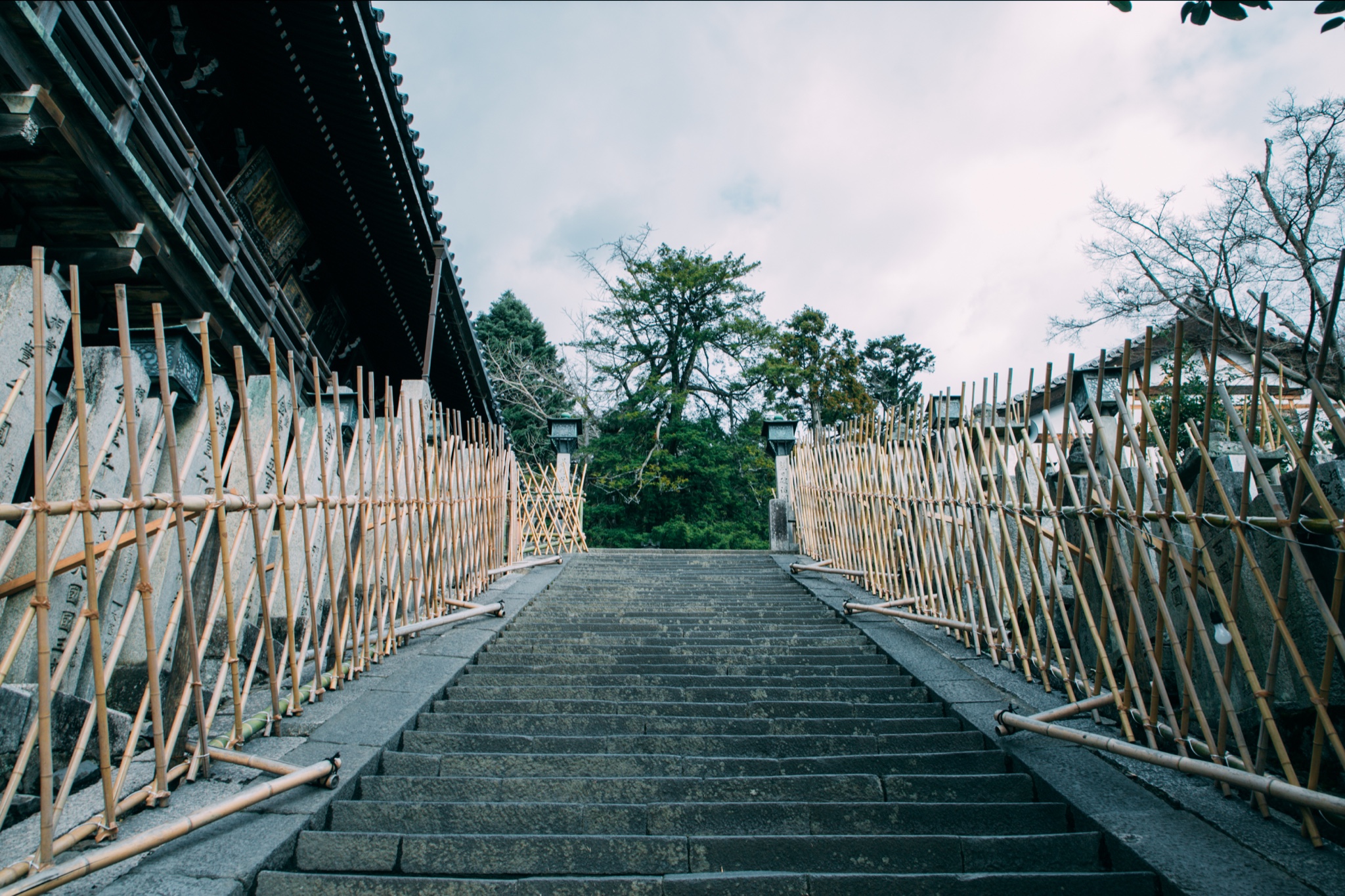 京都自助遊攻略