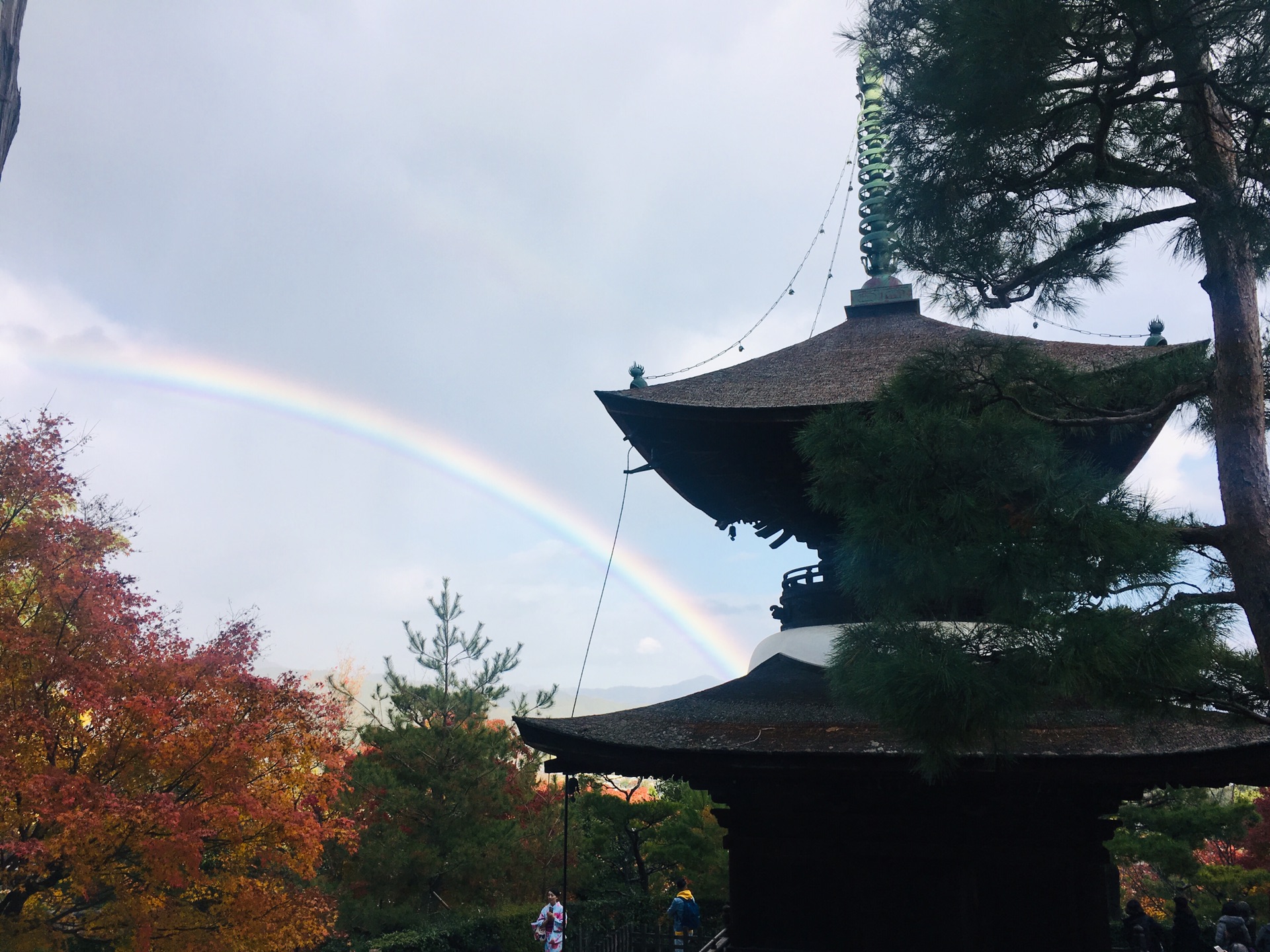 京都自助遊攻略