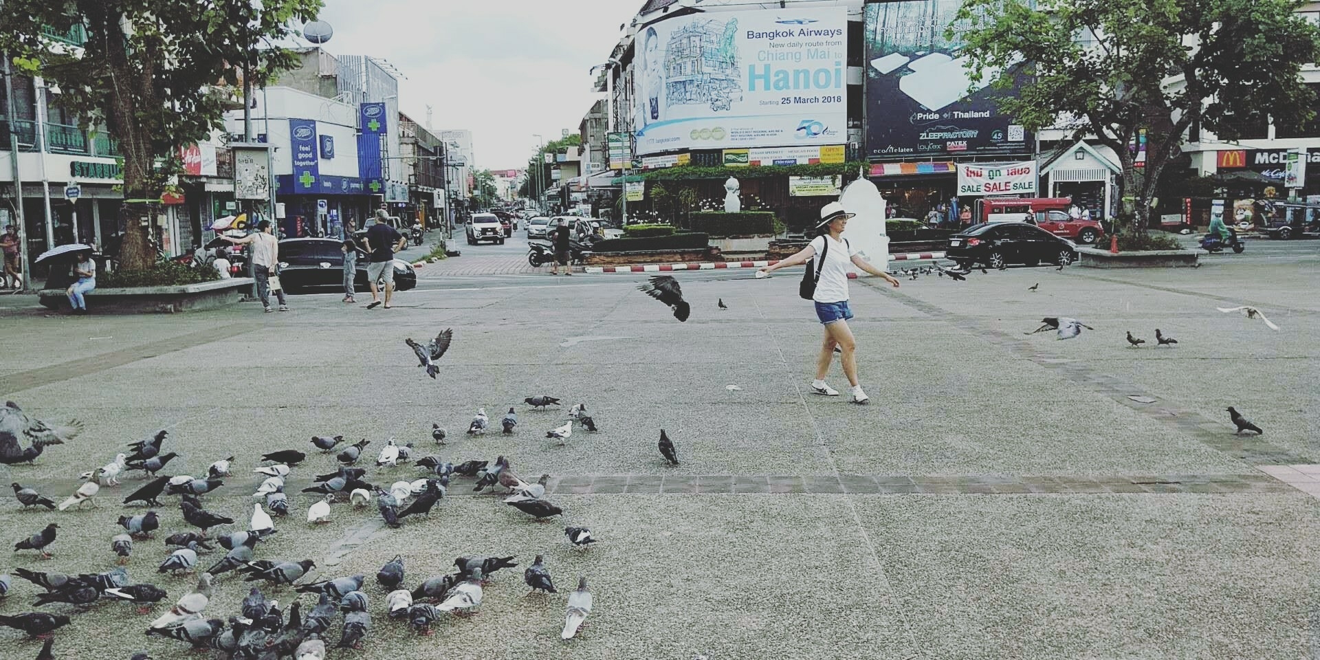 蘇梅島自助遊攻略