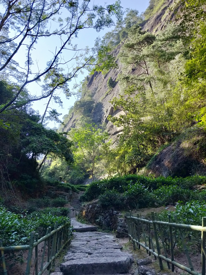 武夷山自助遊攻略