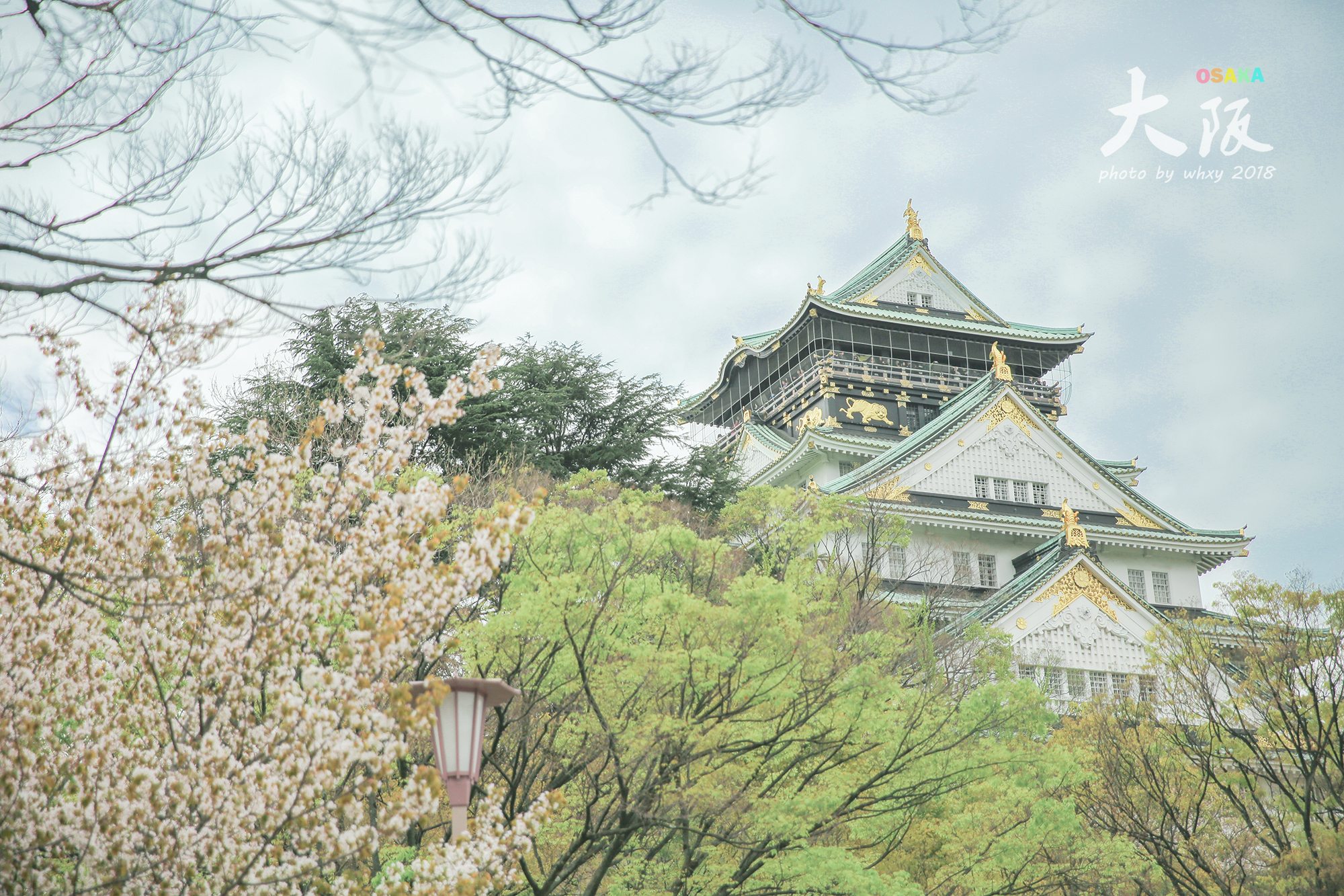 京都自助遊攻略