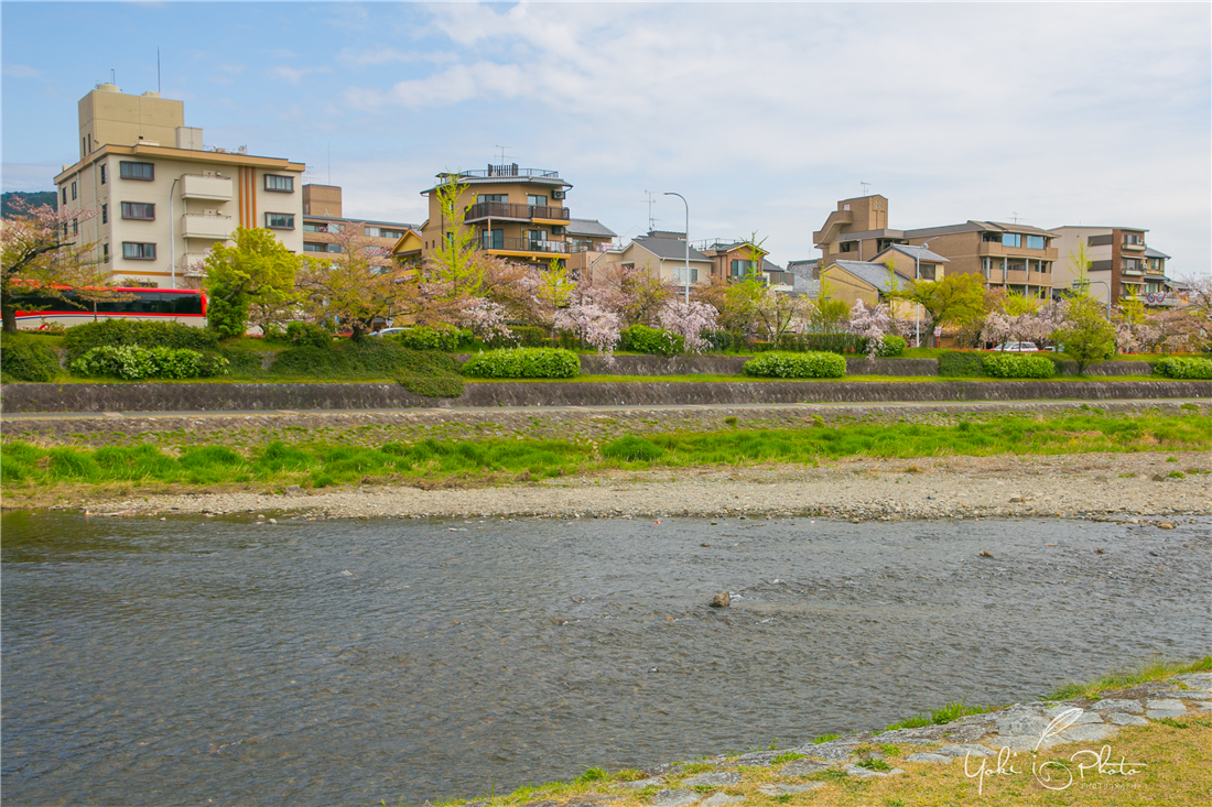 京都自助遊攻略