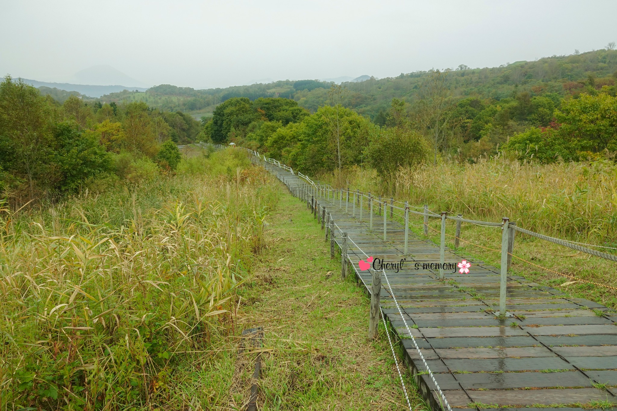 北海道自助遊攻略