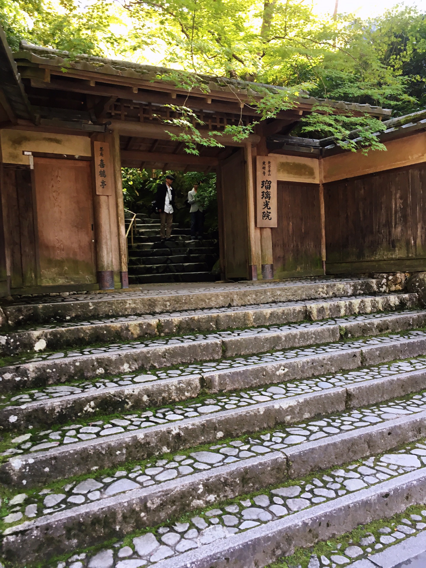 京都自助遊攻略