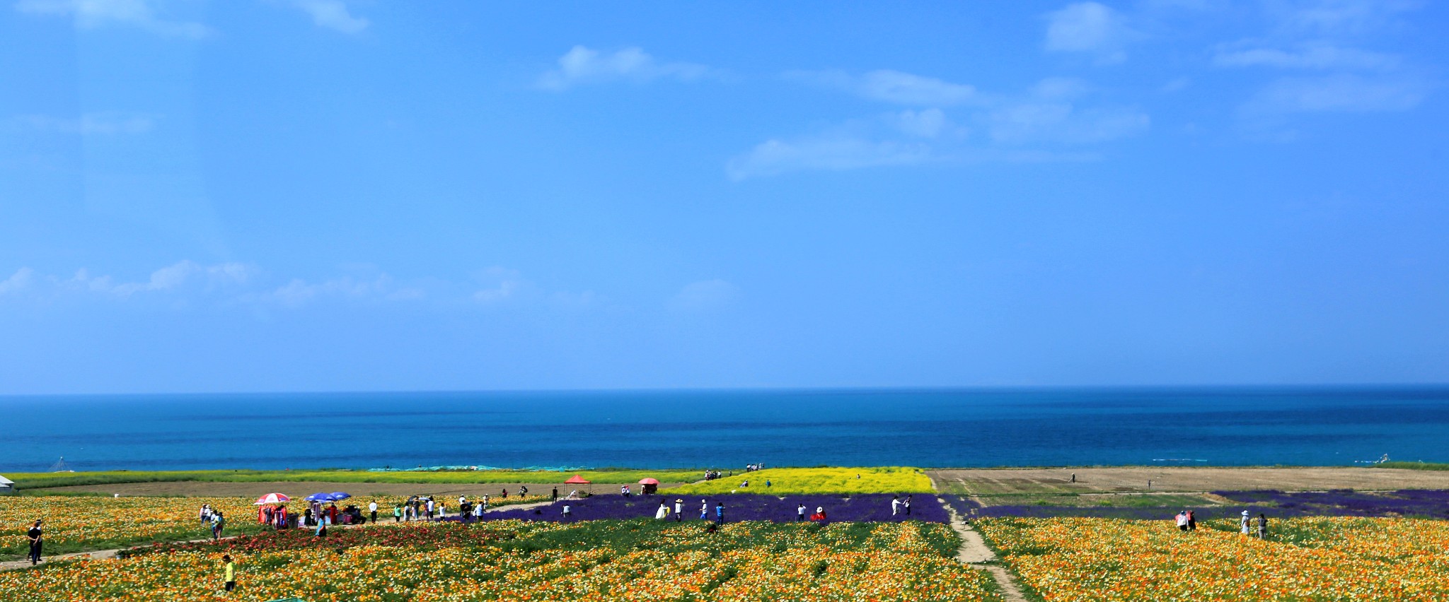 QingHai Lake