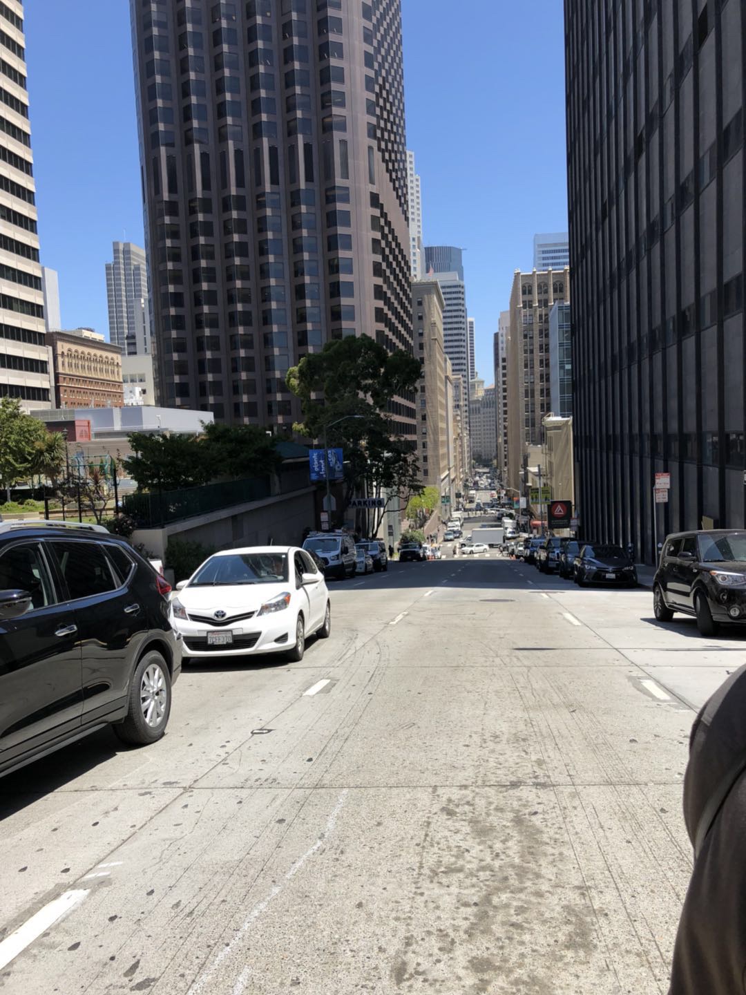 舊金山自助遊攻略