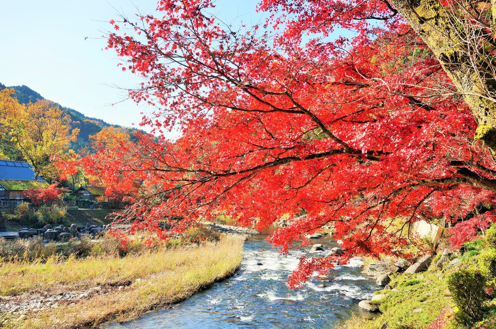 名古屋自助遊攻略