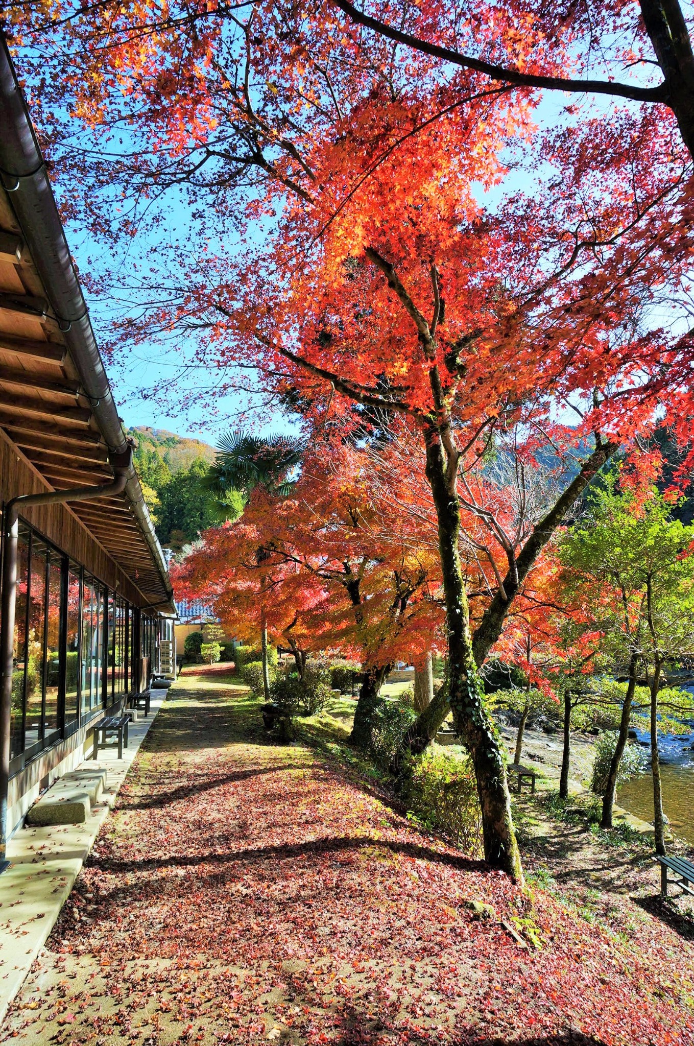 名古屋自助遊攻略