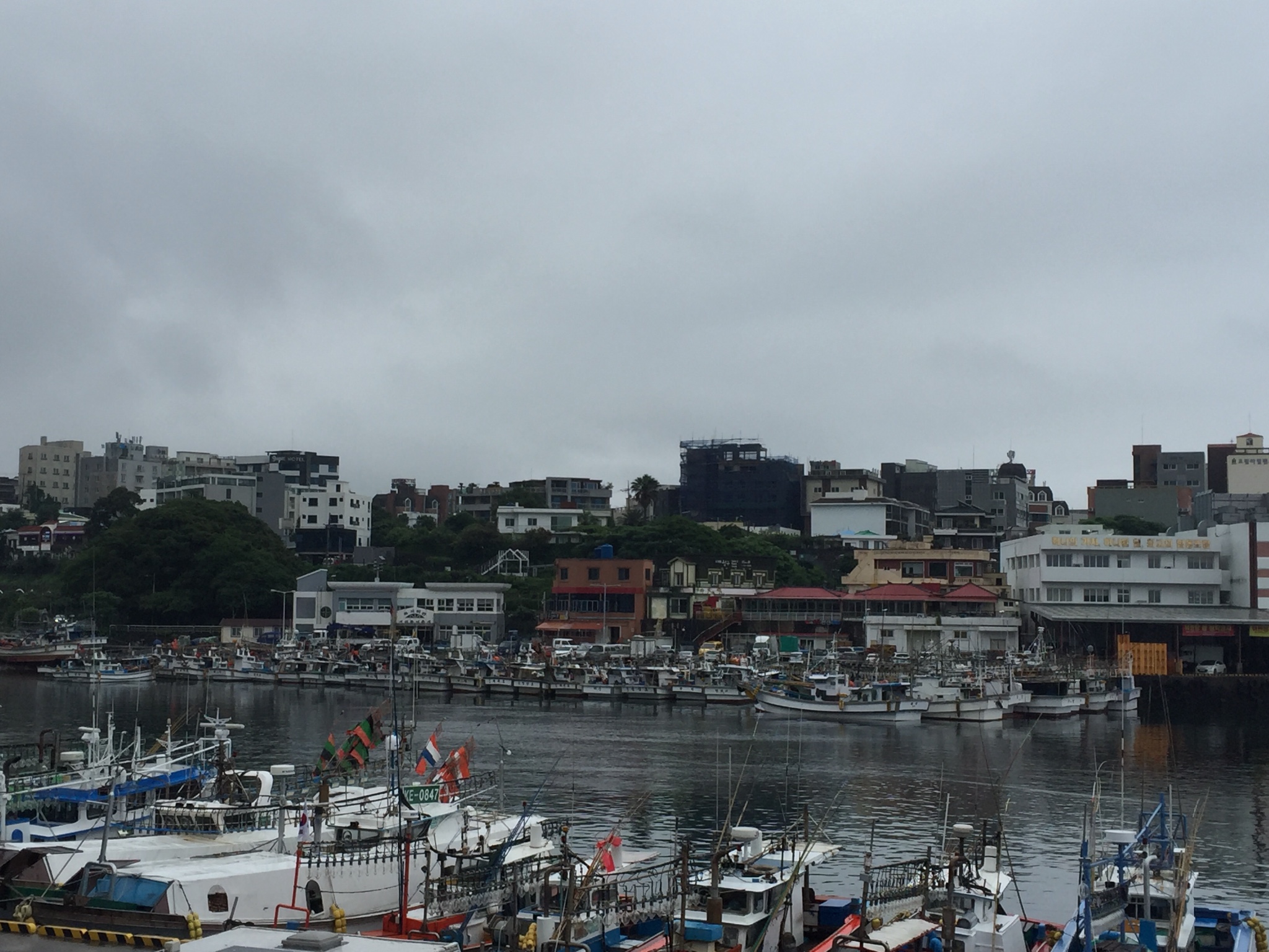 济州岛人均消费_韩国济州岛