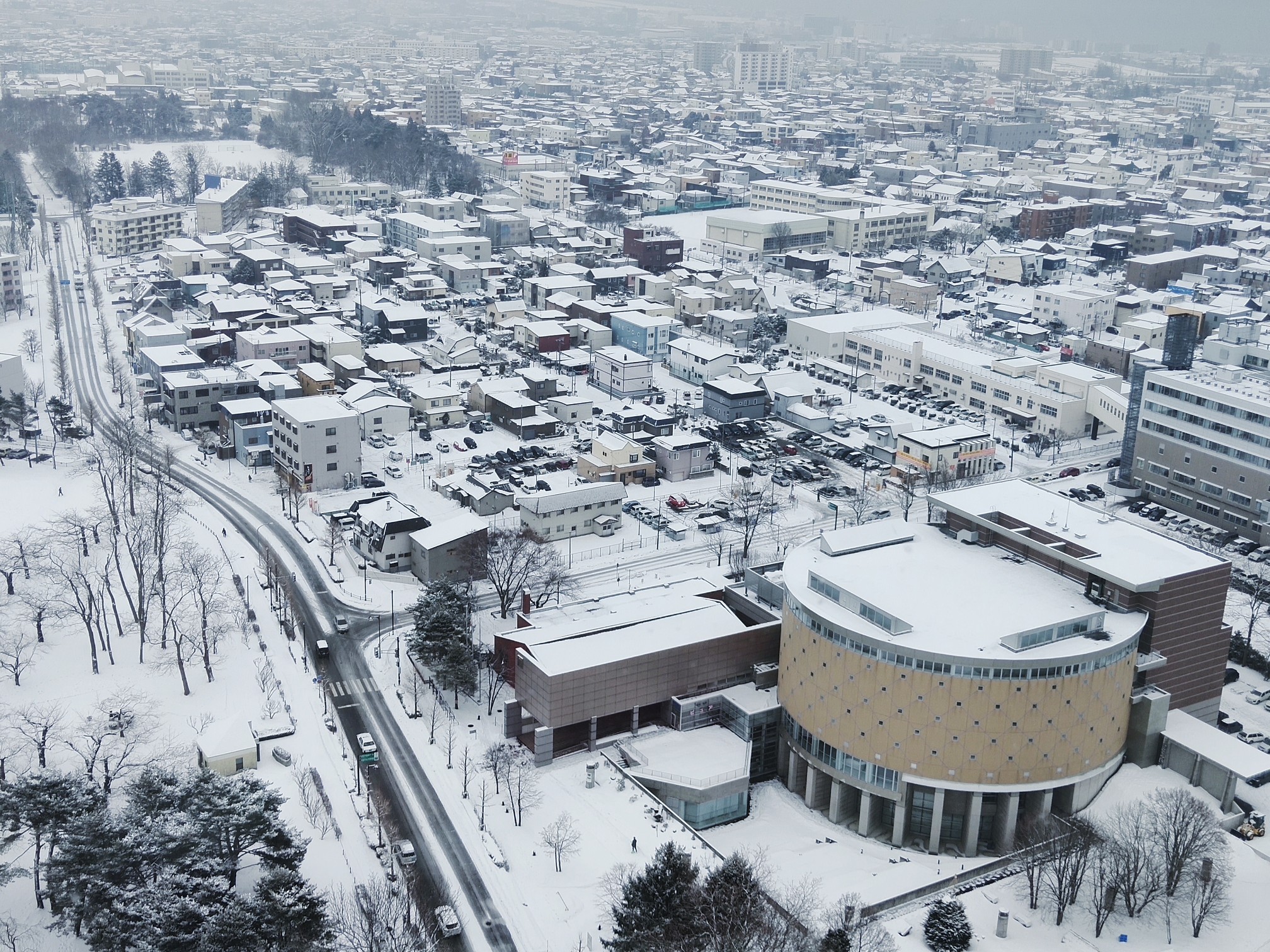 北海道自助遊攻略