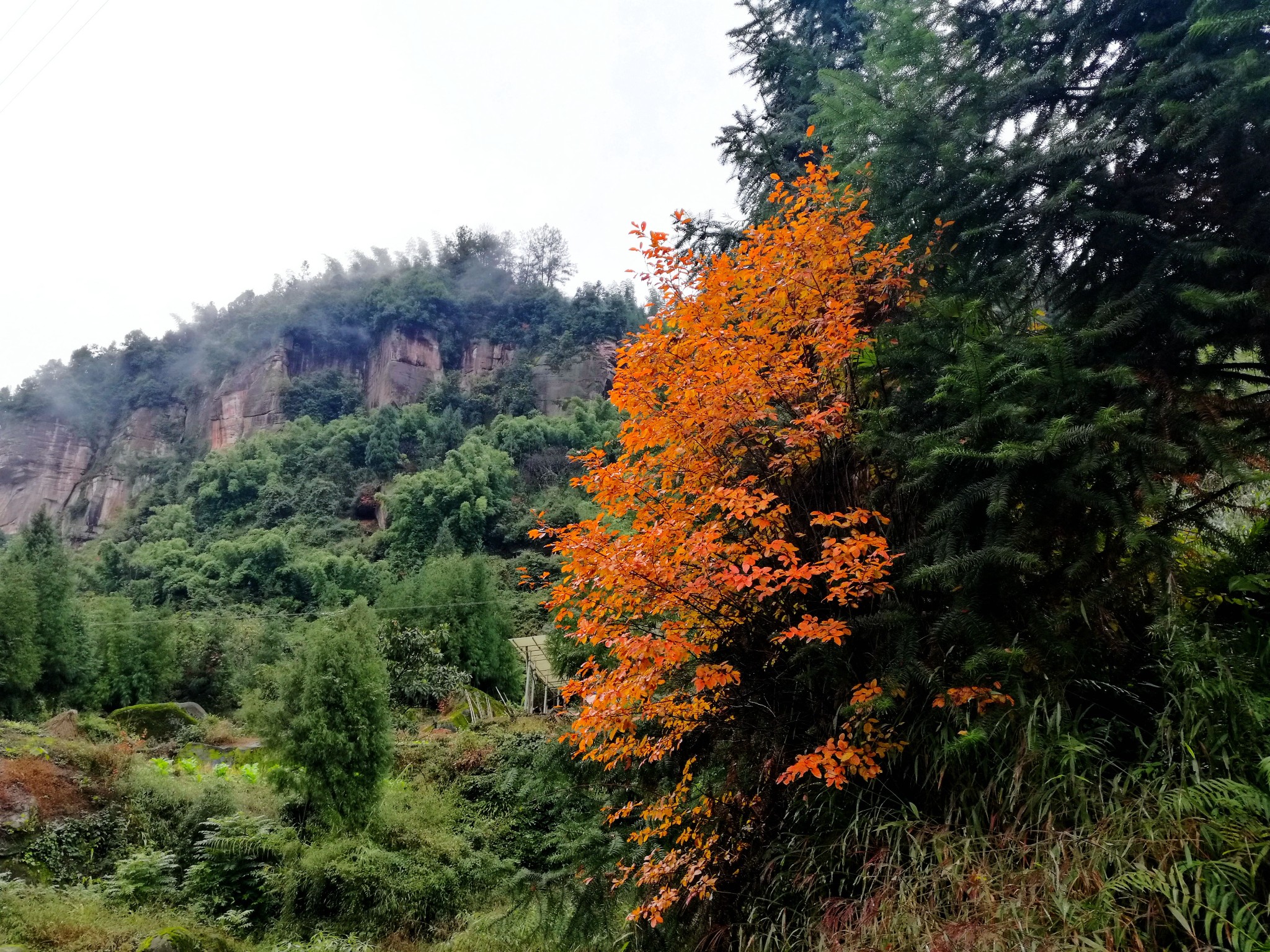 位于合江县城东南部,是国家级森林公园,国家aaa级旅游区,是整个佛宝原