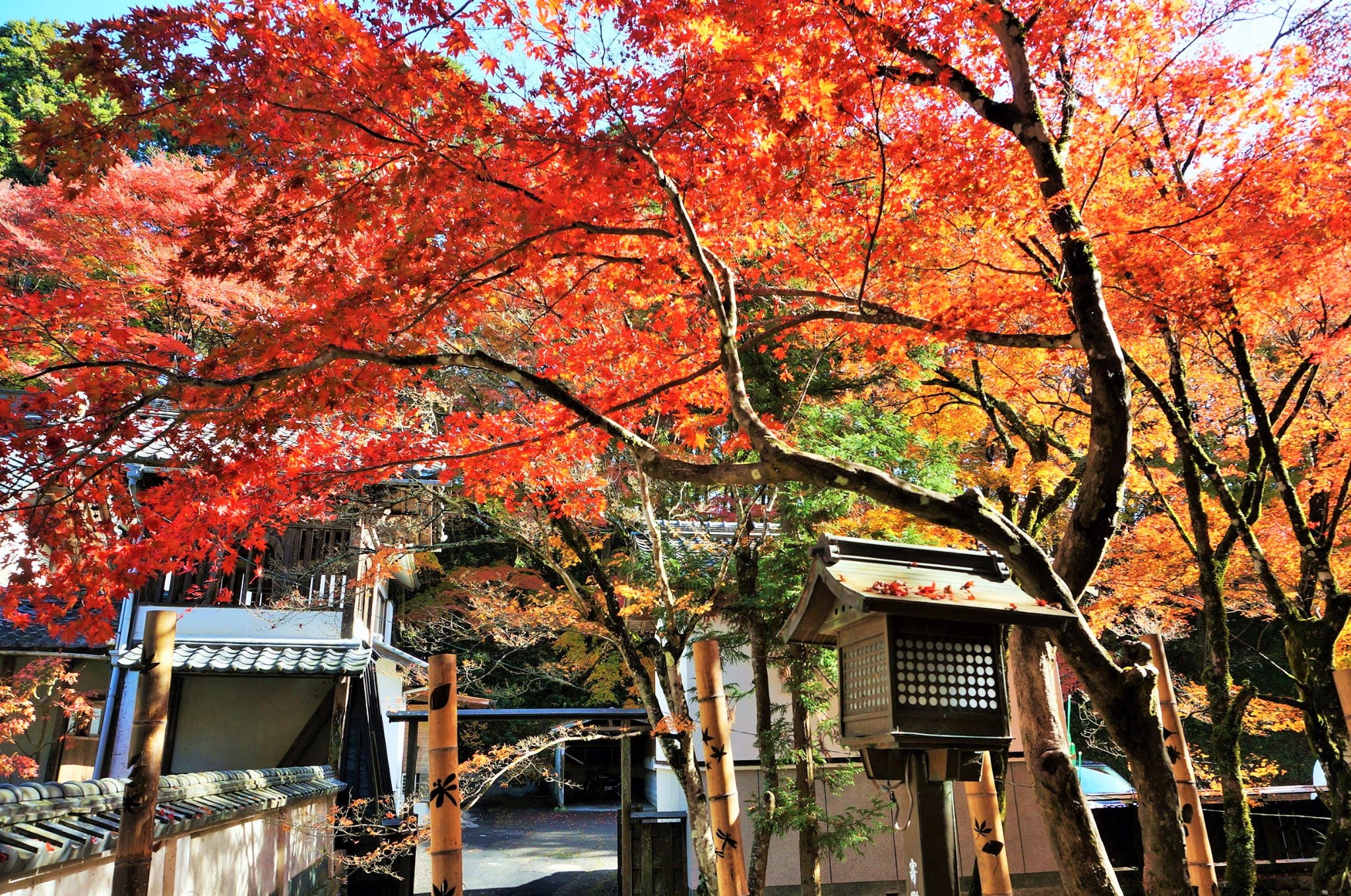 名古屋自助遊攻略