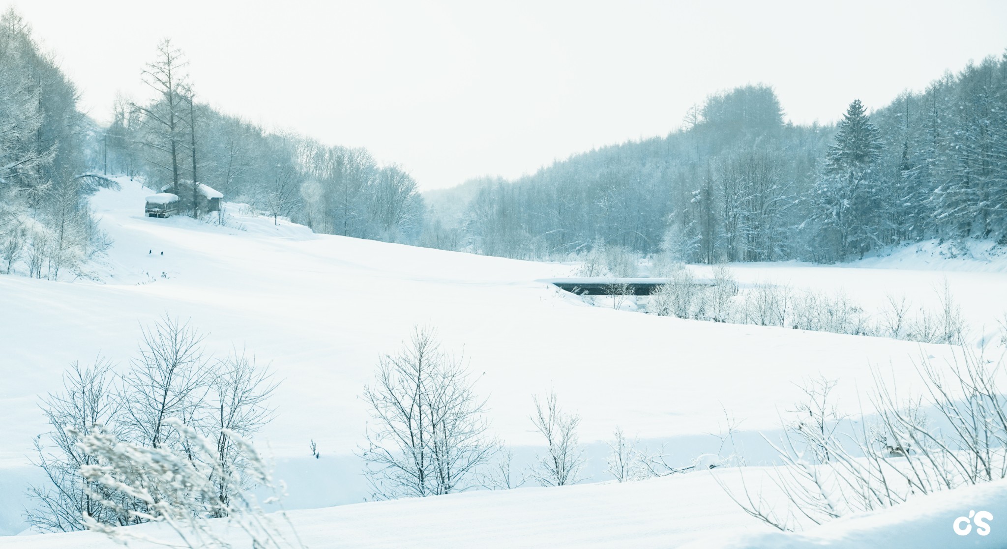 北海道自助遊攻略