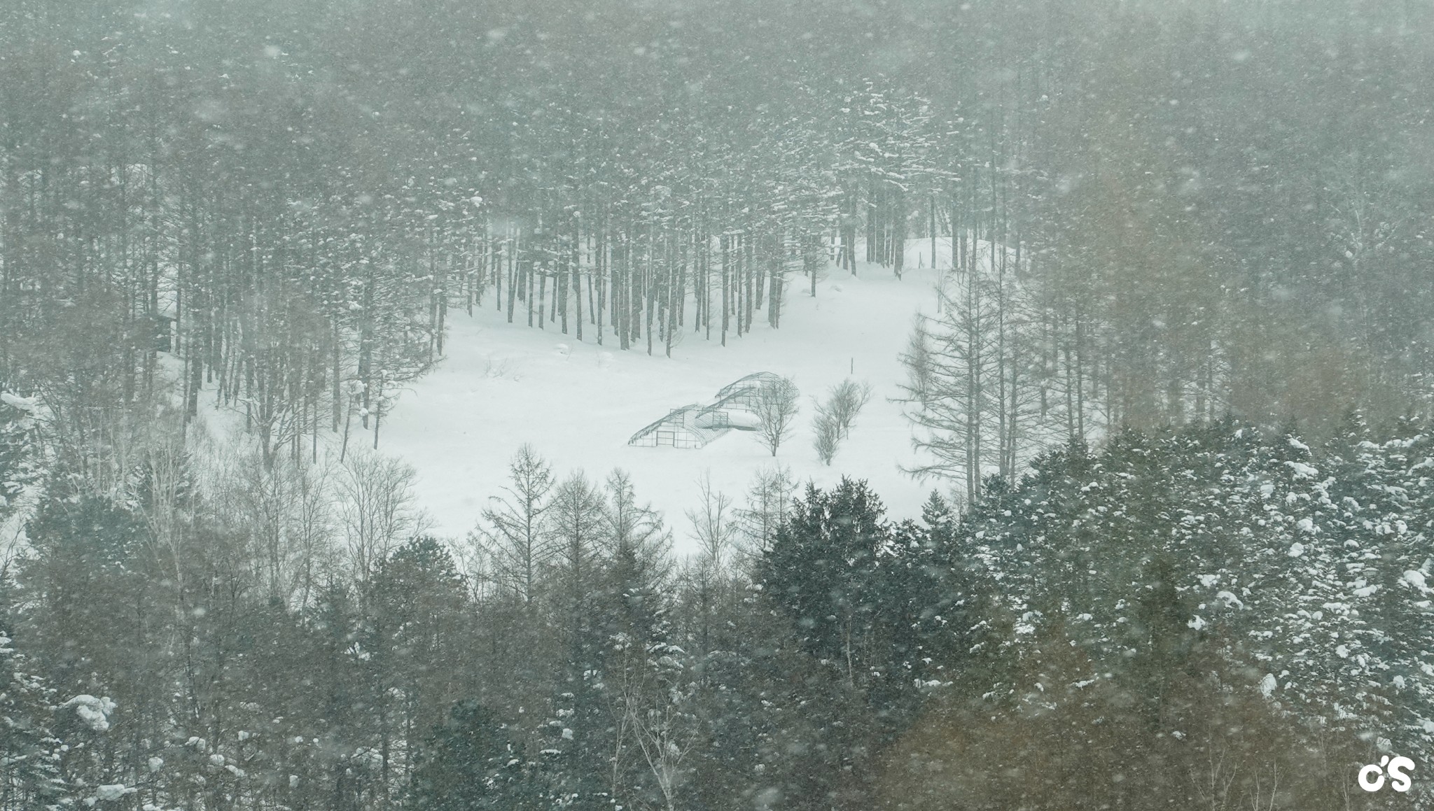 北海道自助遊攻略