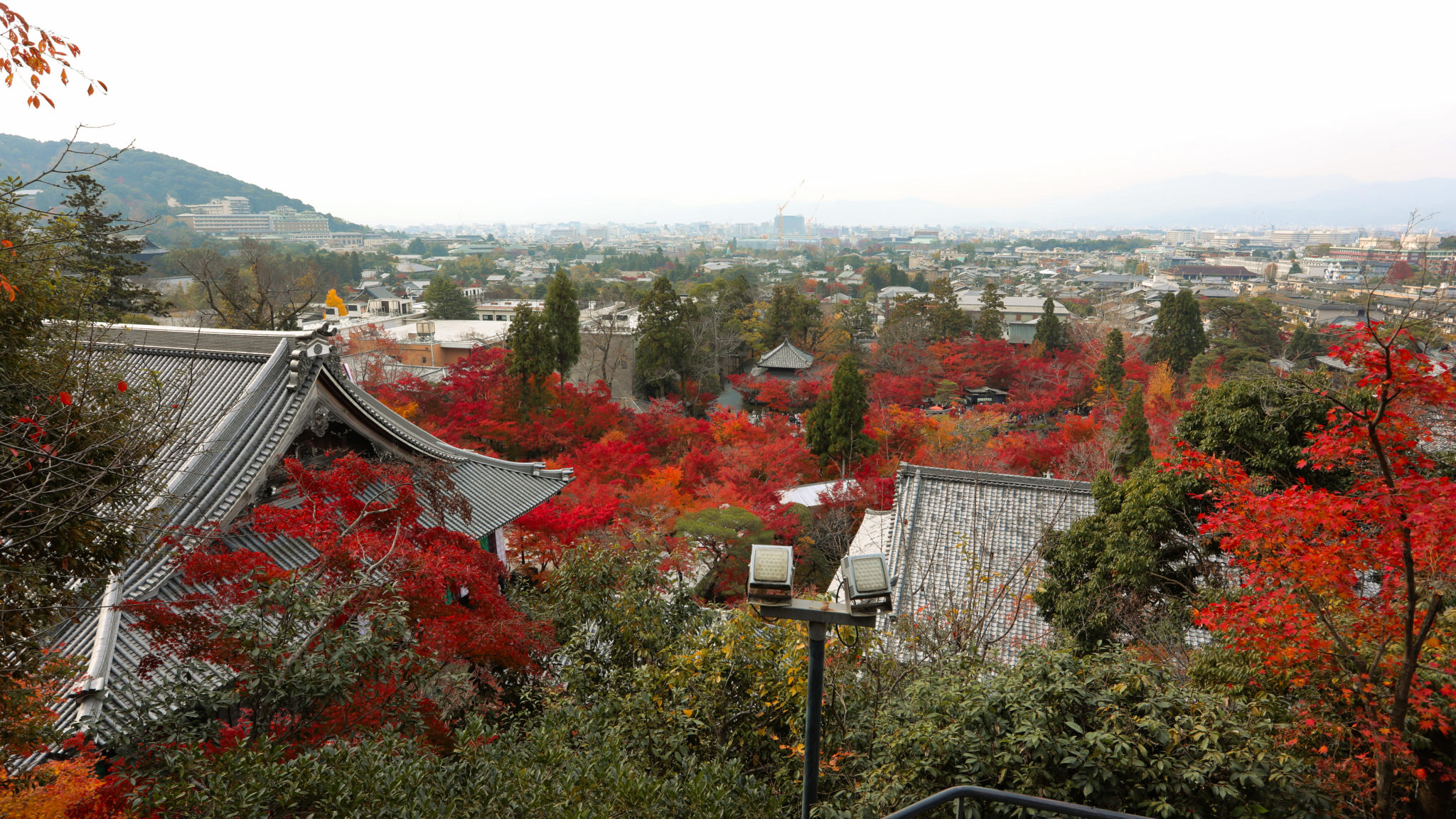 京都自助遊攻略