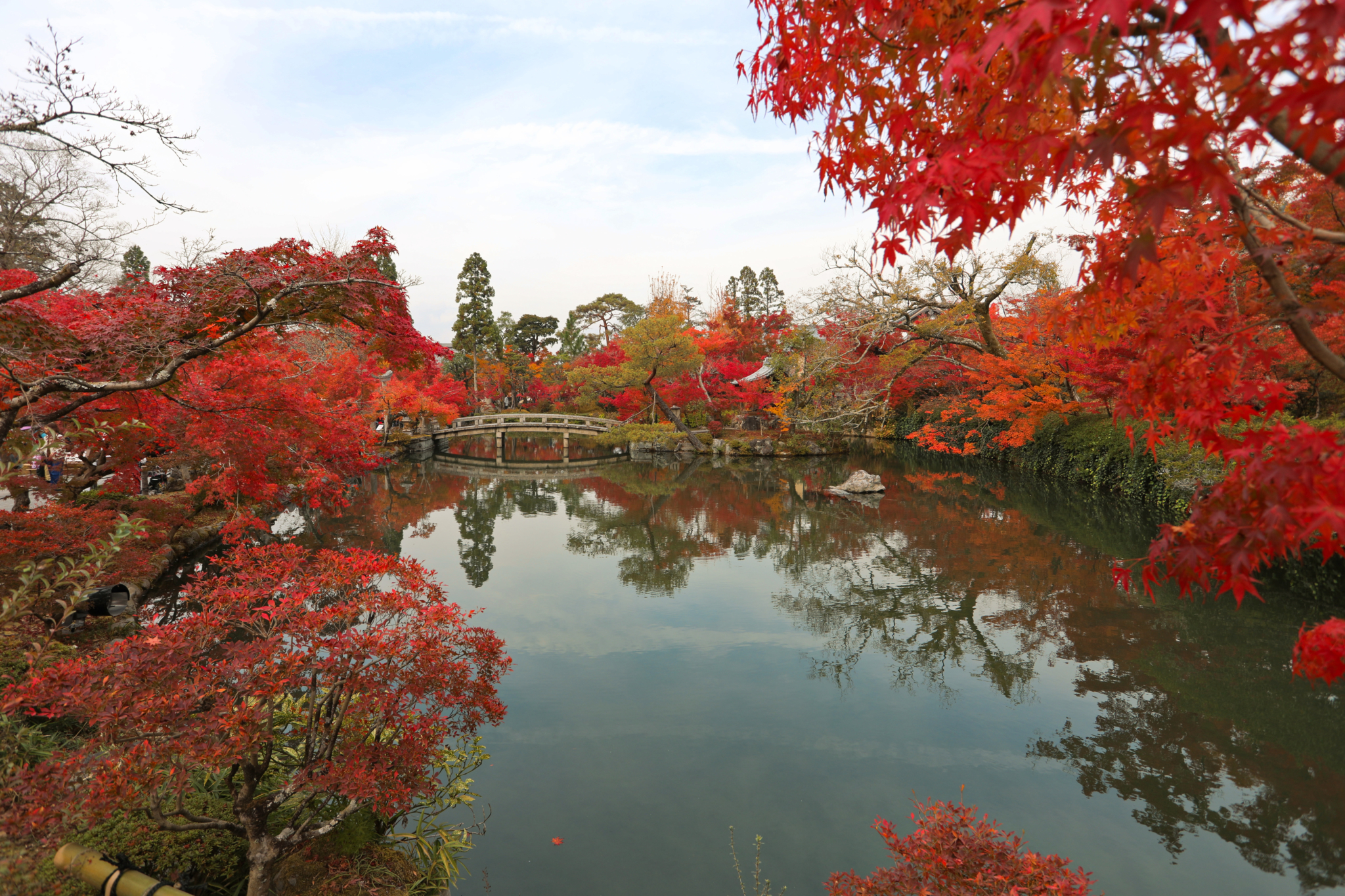 京都自助遊攻略